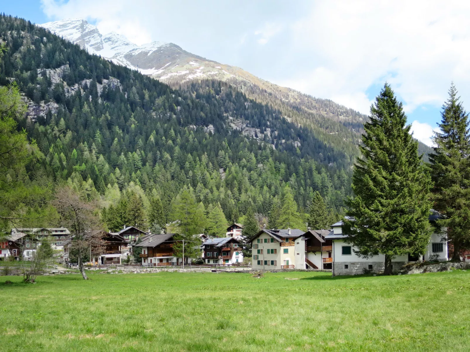 Chalet Borgo Walser Testa 5 - Area