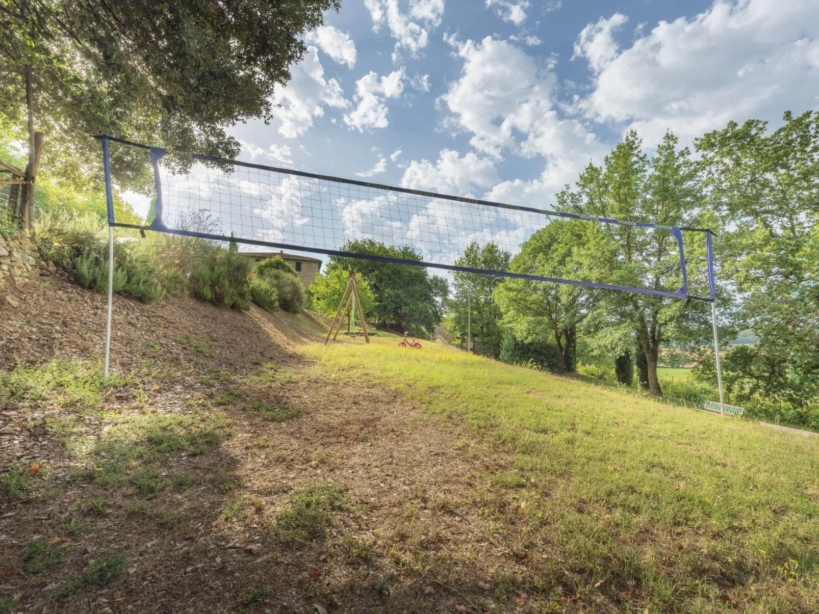 Gartenrotschwanzmascie-Draußen