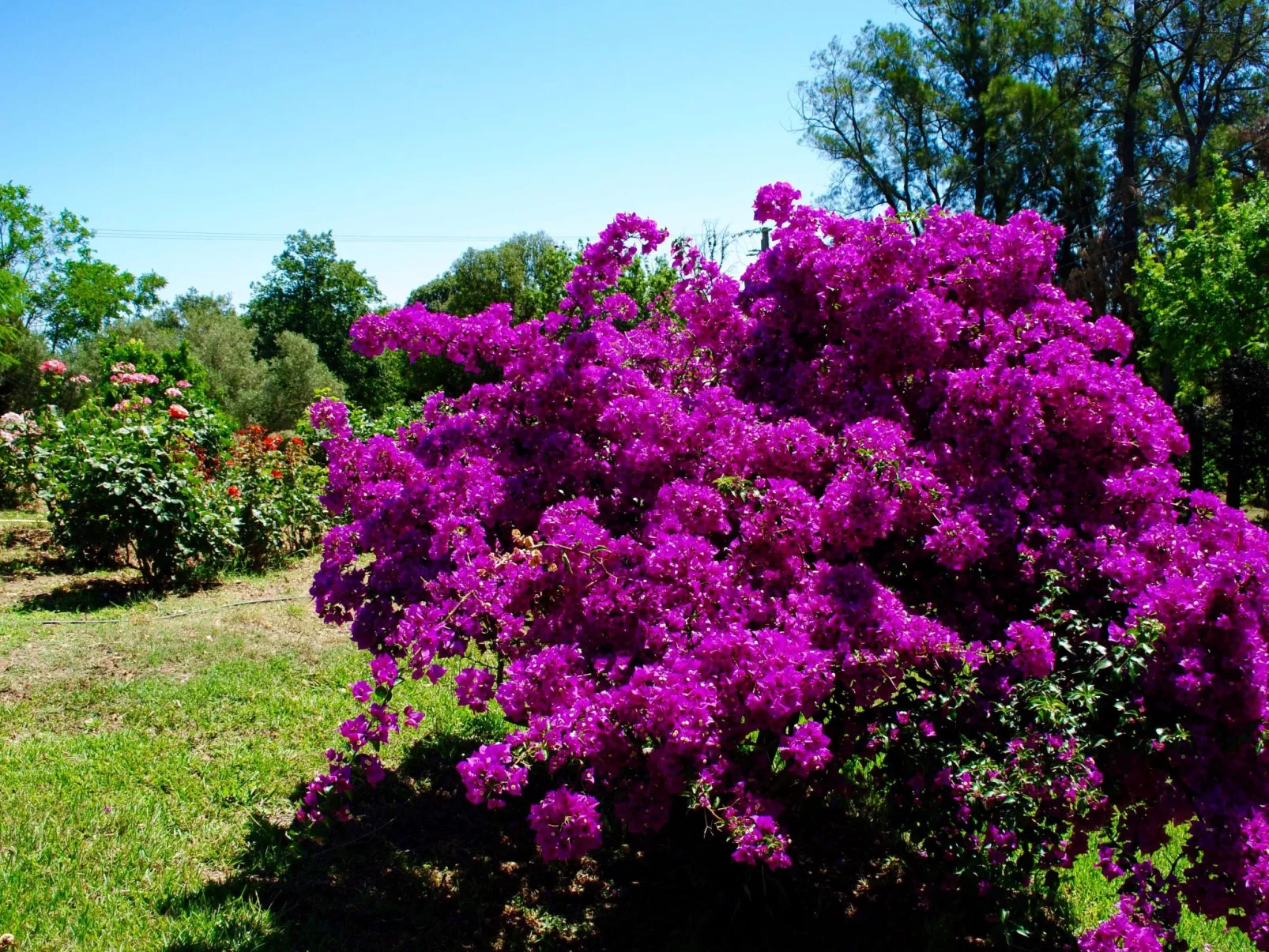 Villa mit Meerblick U Castagnu in geschützter Natur-Inside