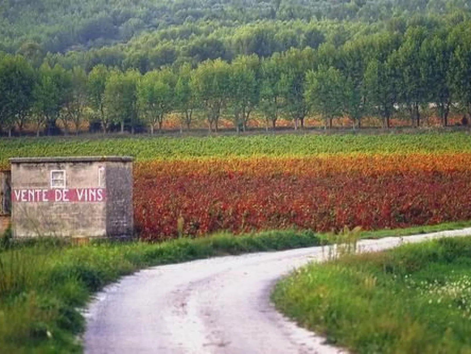 "Cigale" mit Pool-Outside