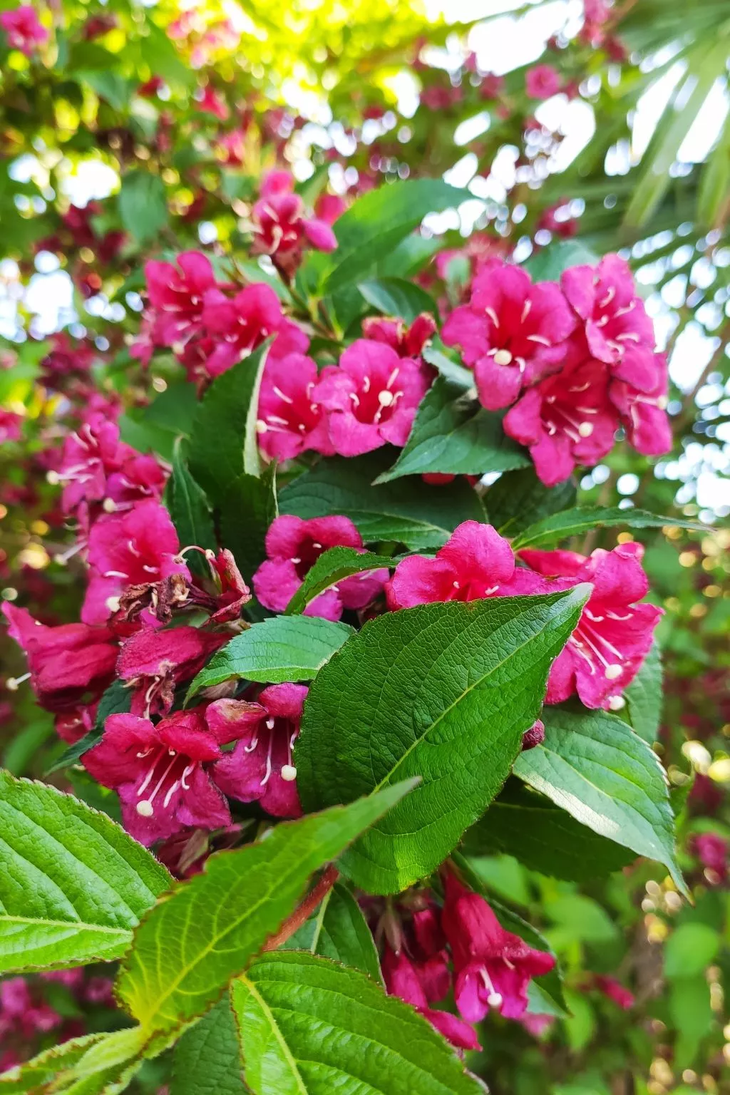 Fachwerkhaus "La Longère" Escapade Normande-Outside