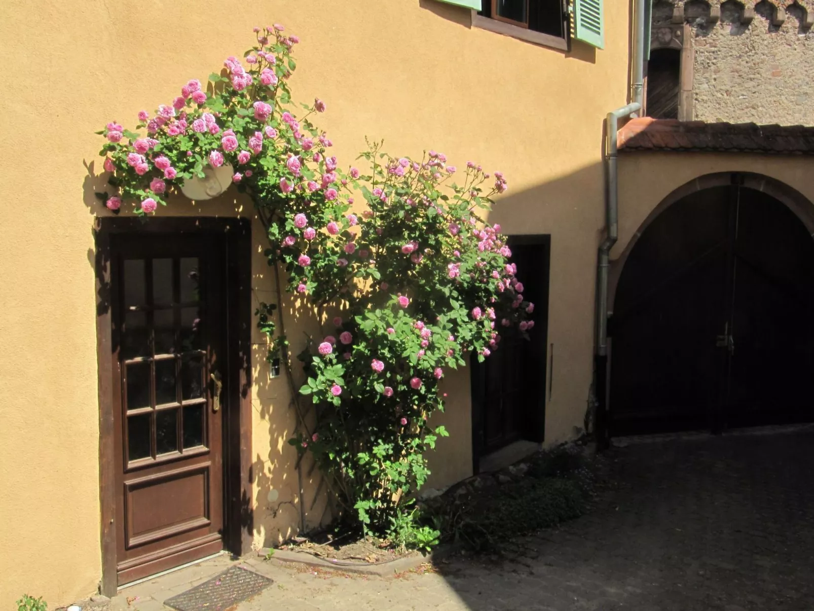 1ed-Face Vosges,au Sud,coeur Vignoble,Calme,WiFi-Outside