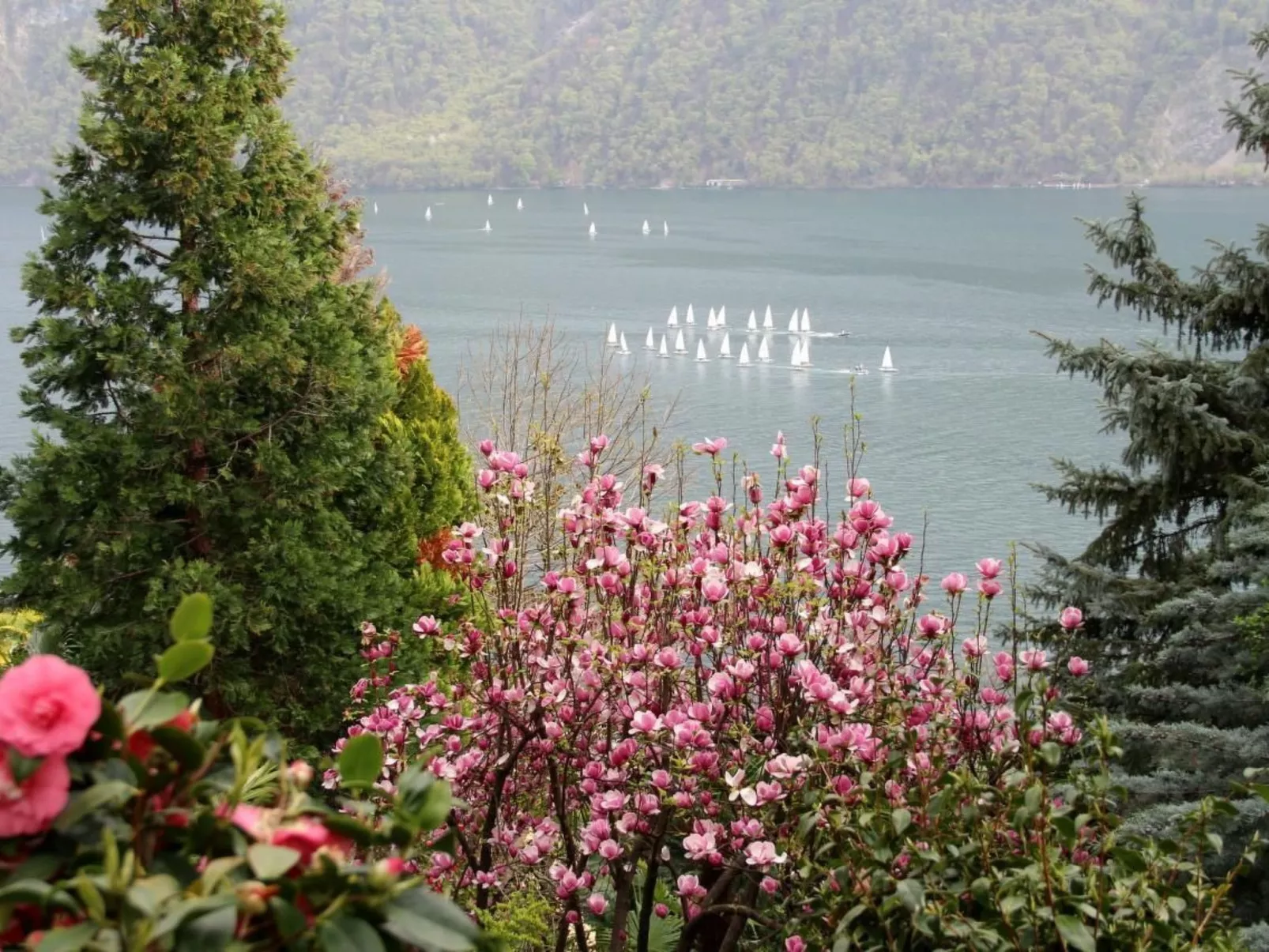 Garten-Wohnung-Draußen