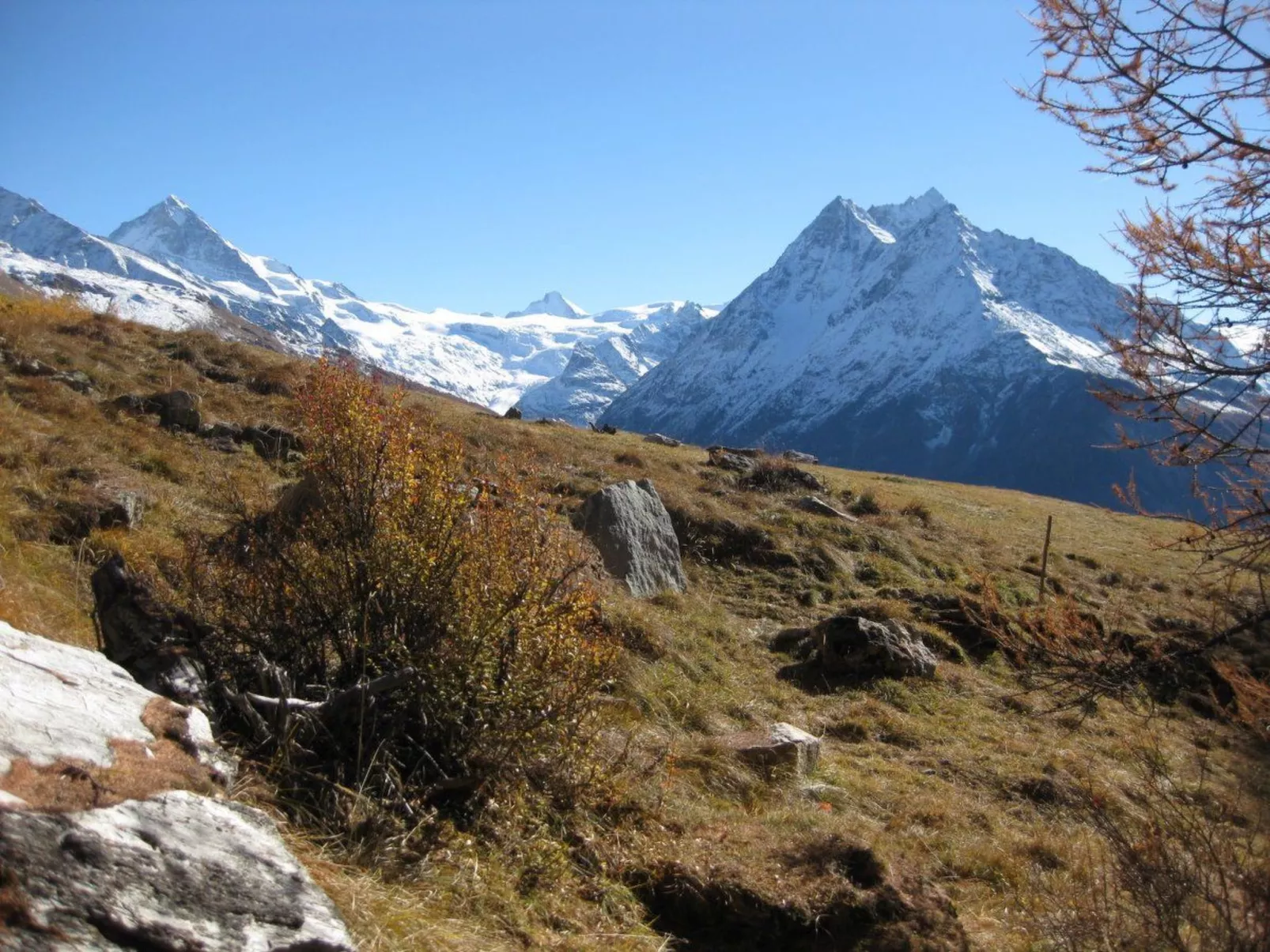 Alp 2100 - Mayen exklusiv-Image-tags.info