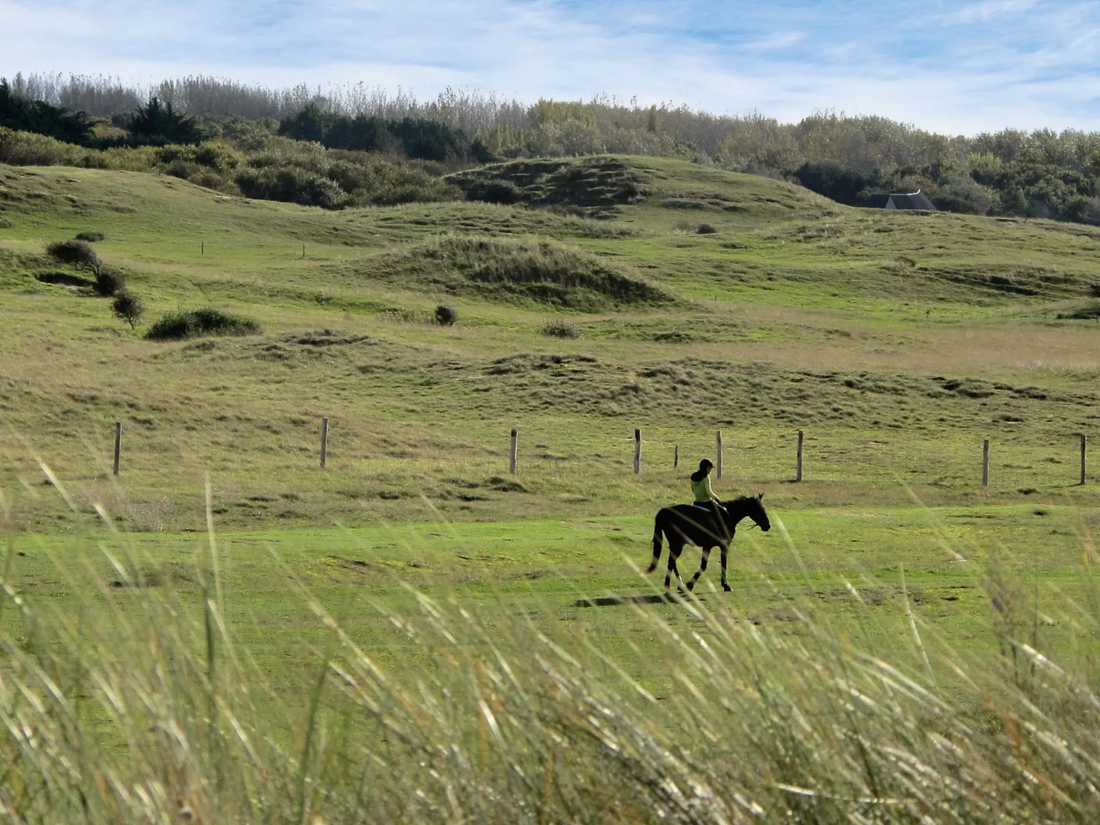 "Pavillon" mit eigenem Parkplatz-Umgebung