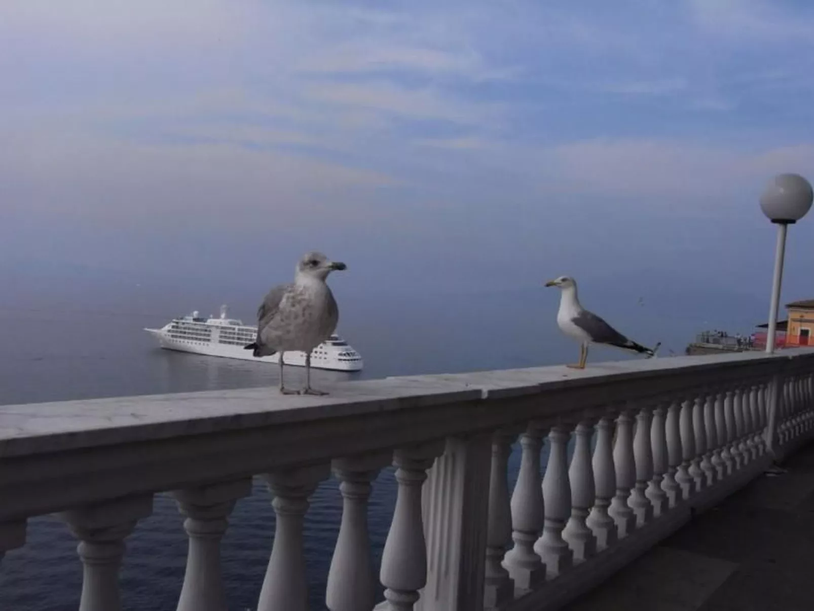 Wohnung 'Giglio' mit privatem Garten-Image-tags.info