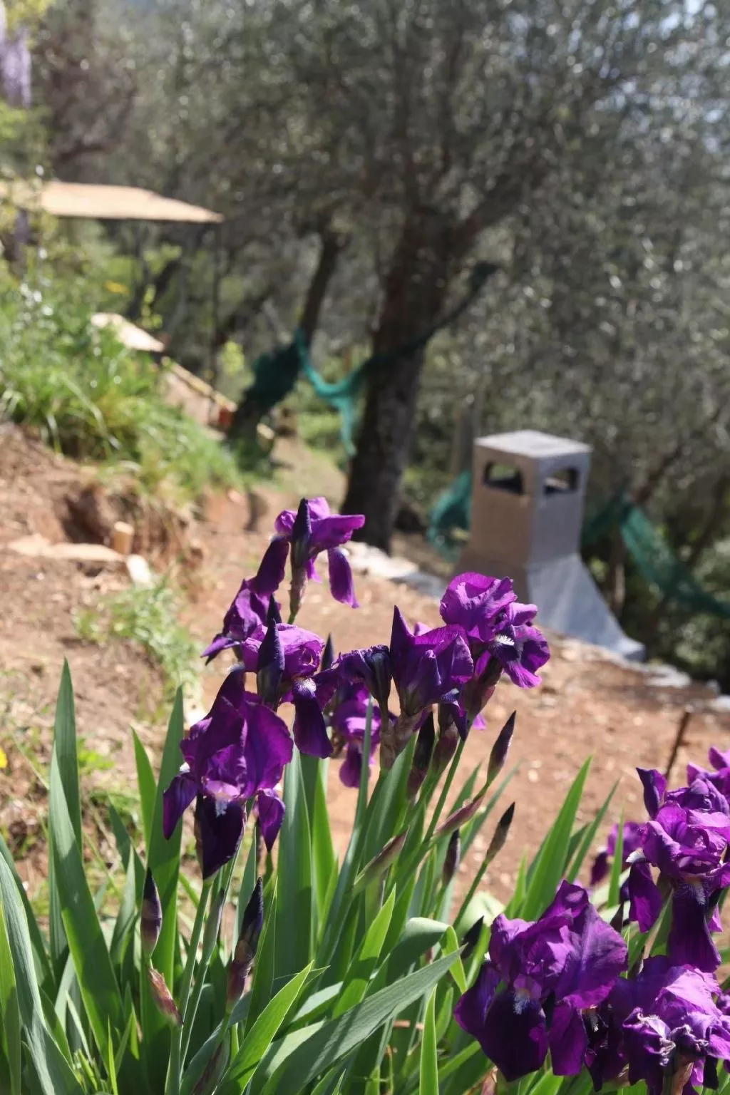 'Giaggioli' mit Garten und Terrasse-Image-tags.info