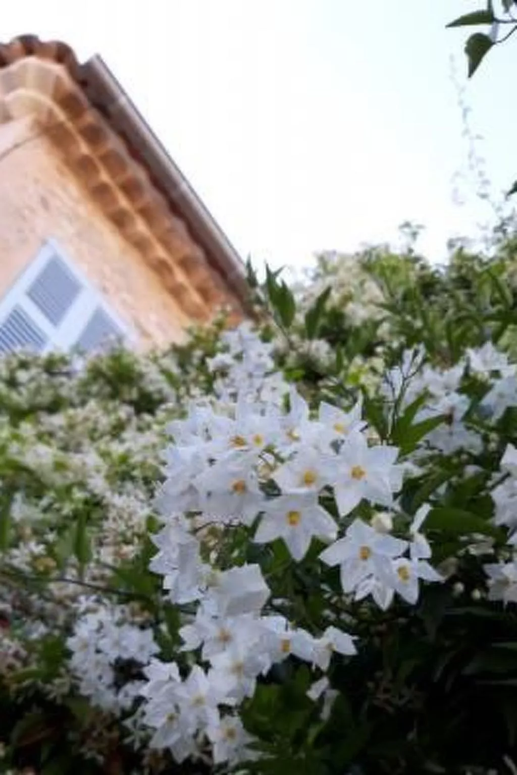 Moderne Wohnung in Mougins mit eigenem Garten-Image-tags.info