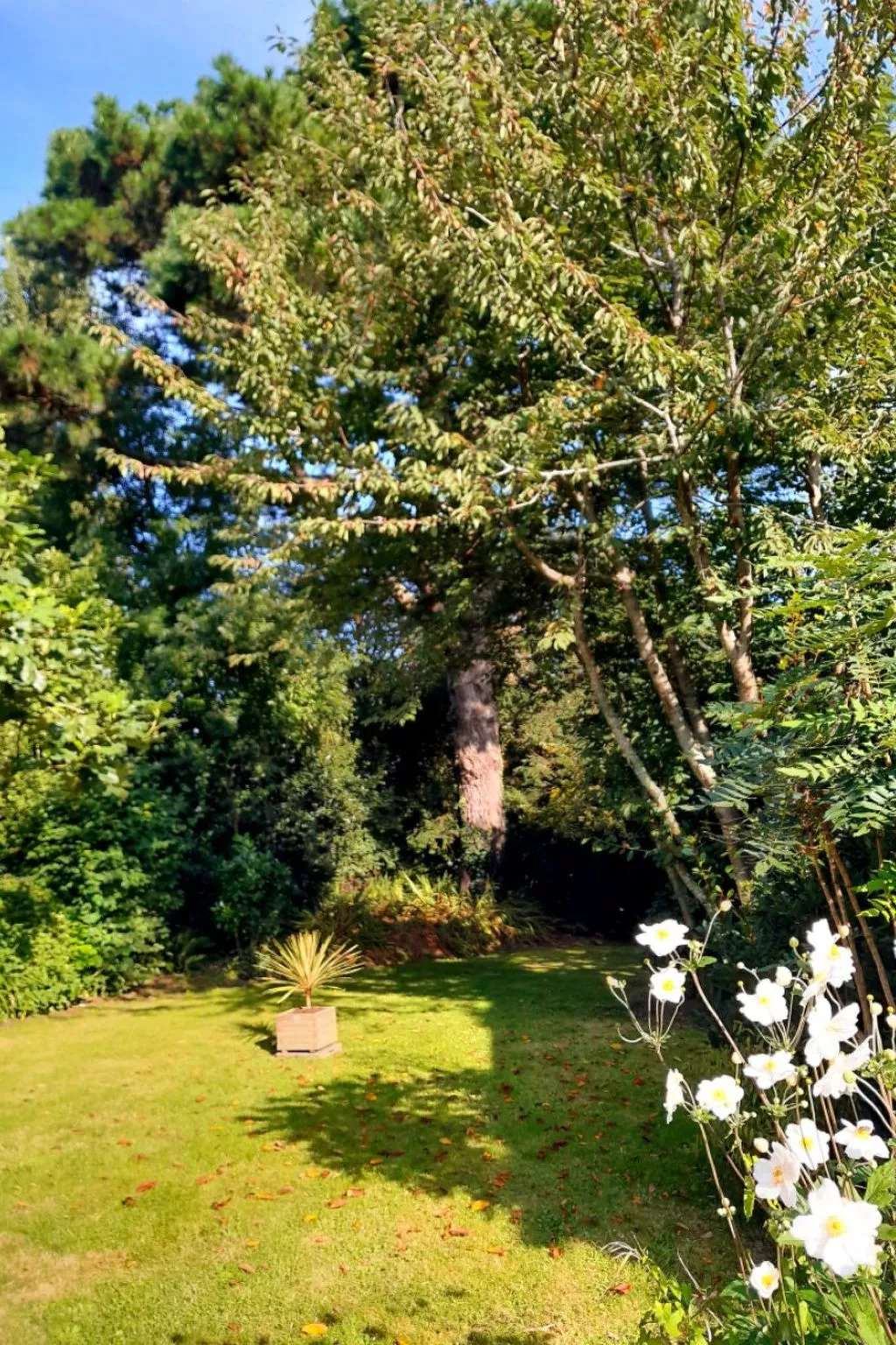 Haus auf der Halbinsel Plougastel-Dehors