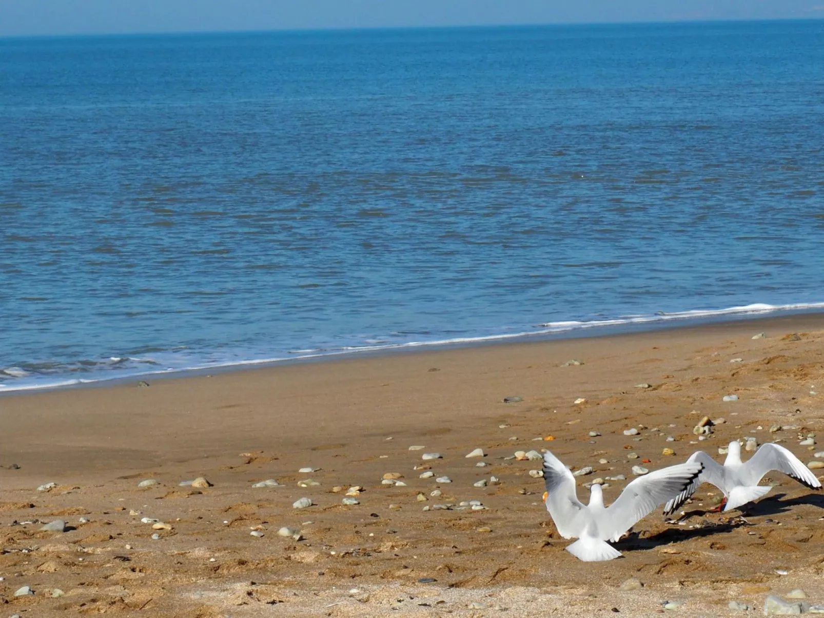 Joli studio pour 2 personnes-Outside