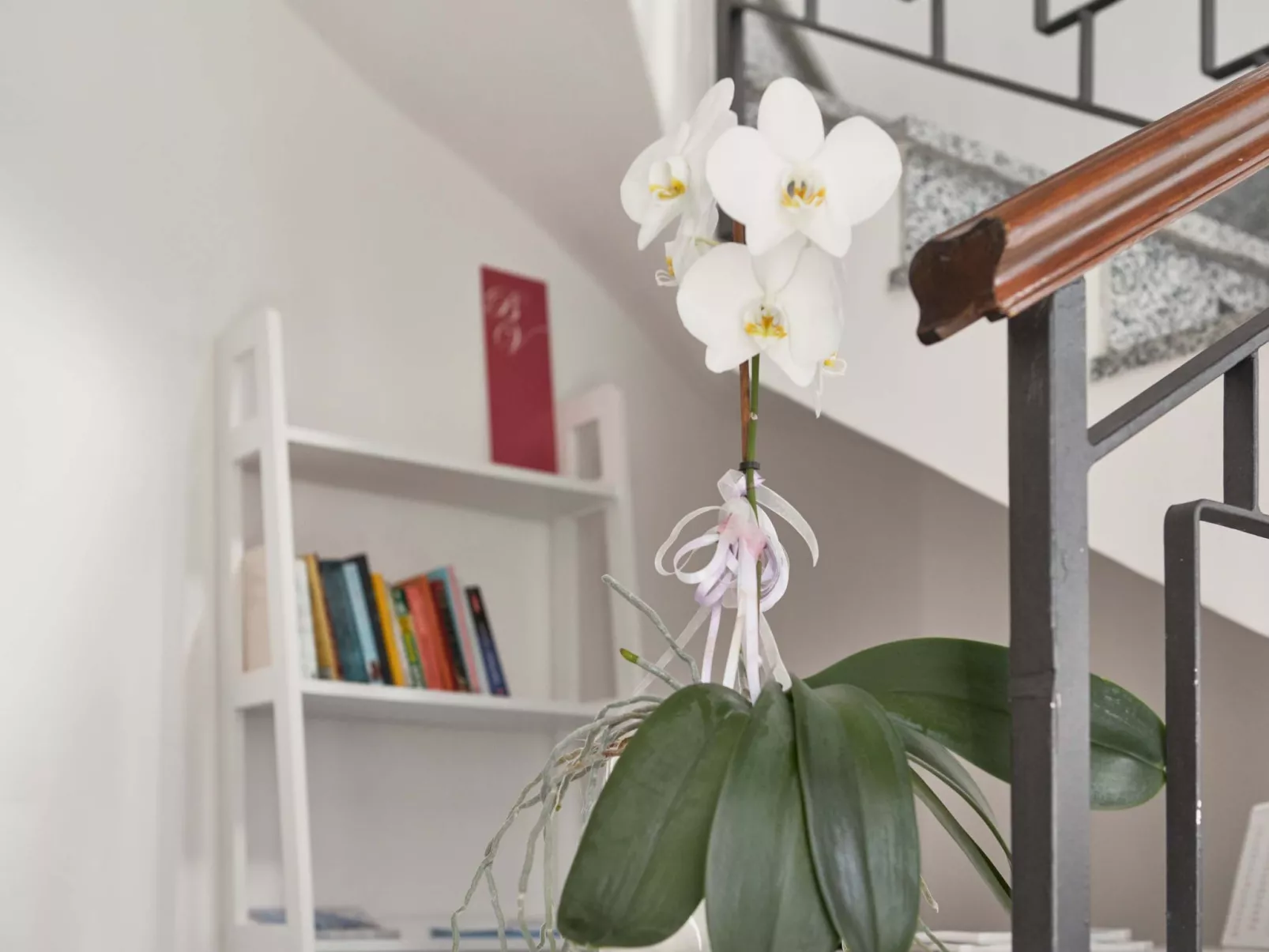 Komfort-Apartment mit Balkon BV1-Inside