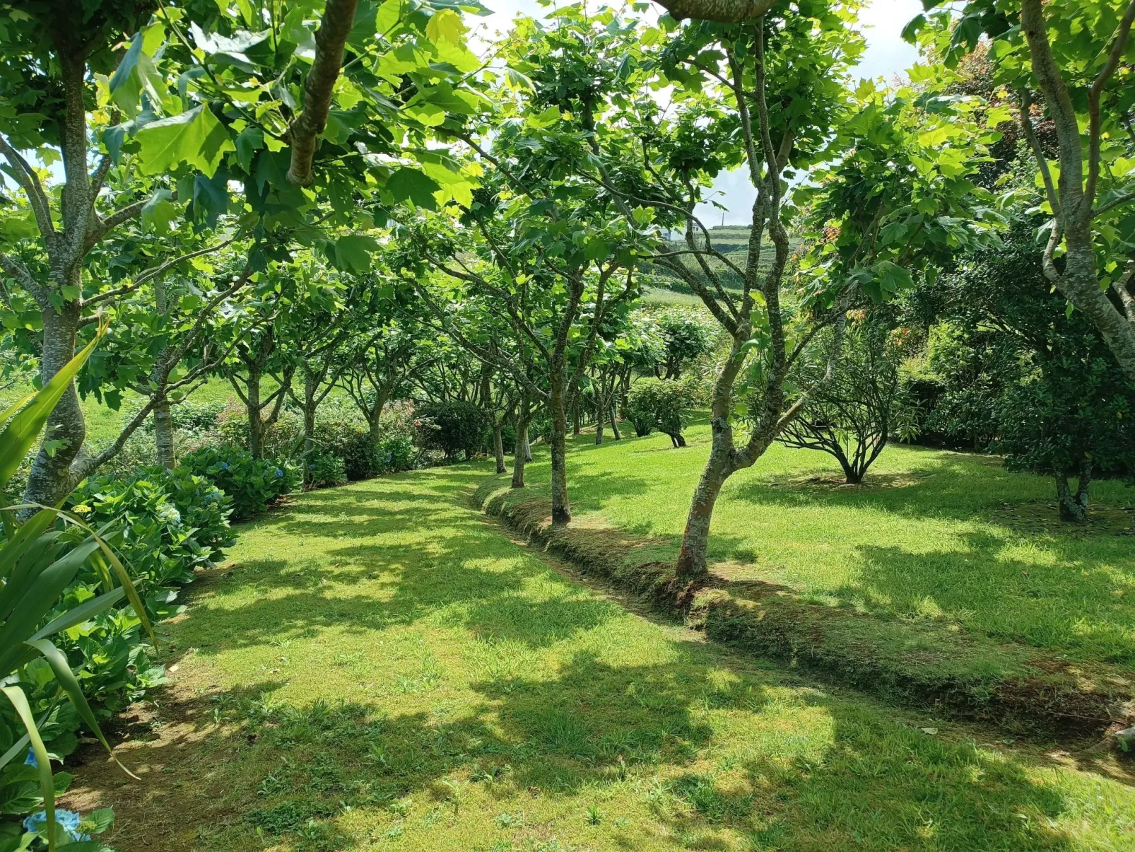 Casa da Fonte - Historisches Steinhaus auf den Azoren-Draußen