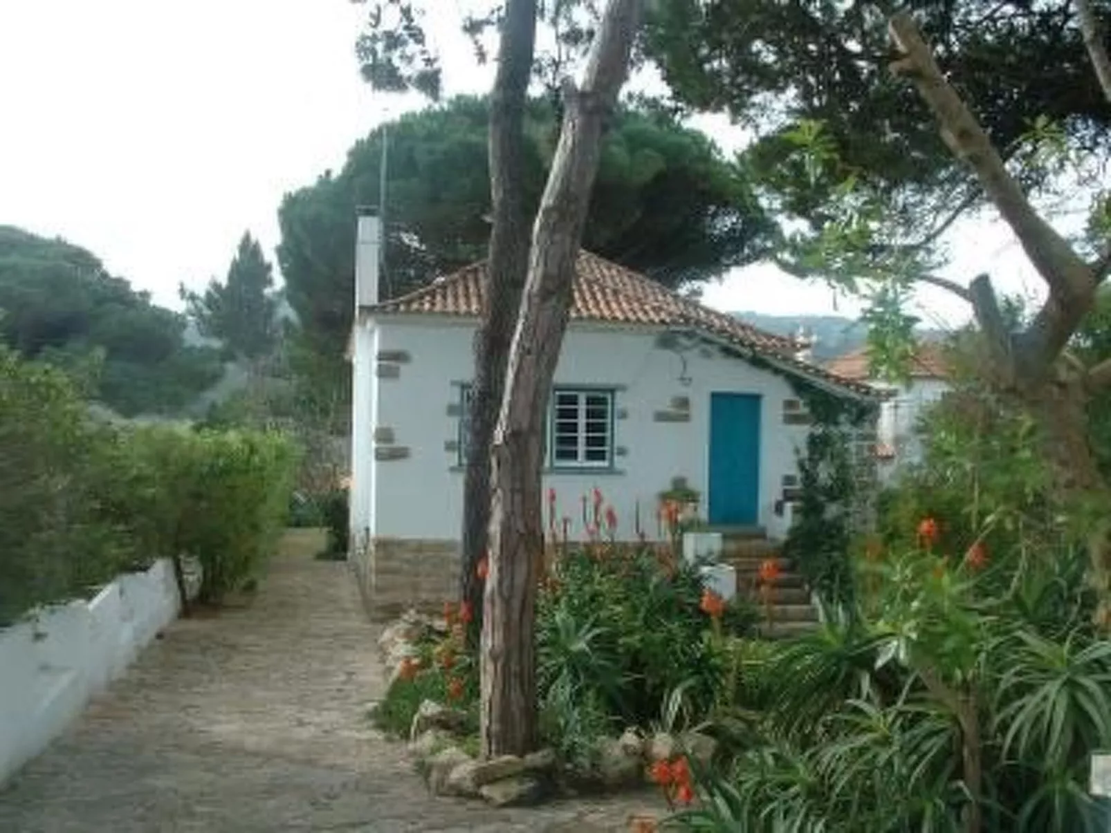 "Casa Mili" mit Kamin-Draußen