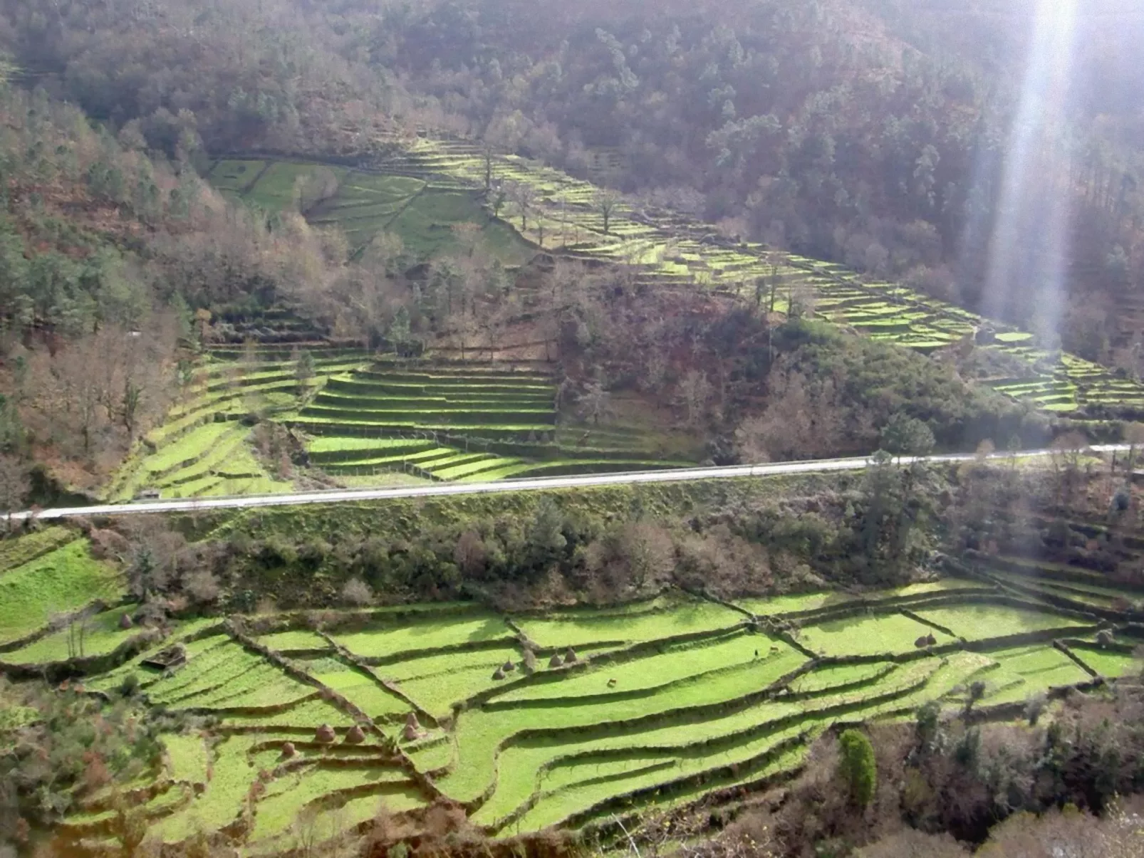 "Großmutters Häuschen" mit überdachter Terrasse-Draußen