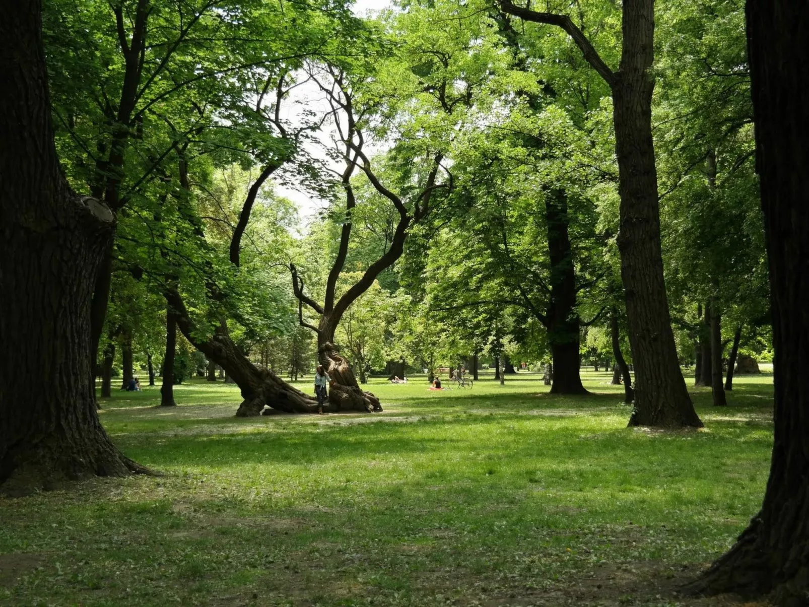 Moderne Ferienwohnung in Ujlipotvaros mit Garten-Image-tags.info