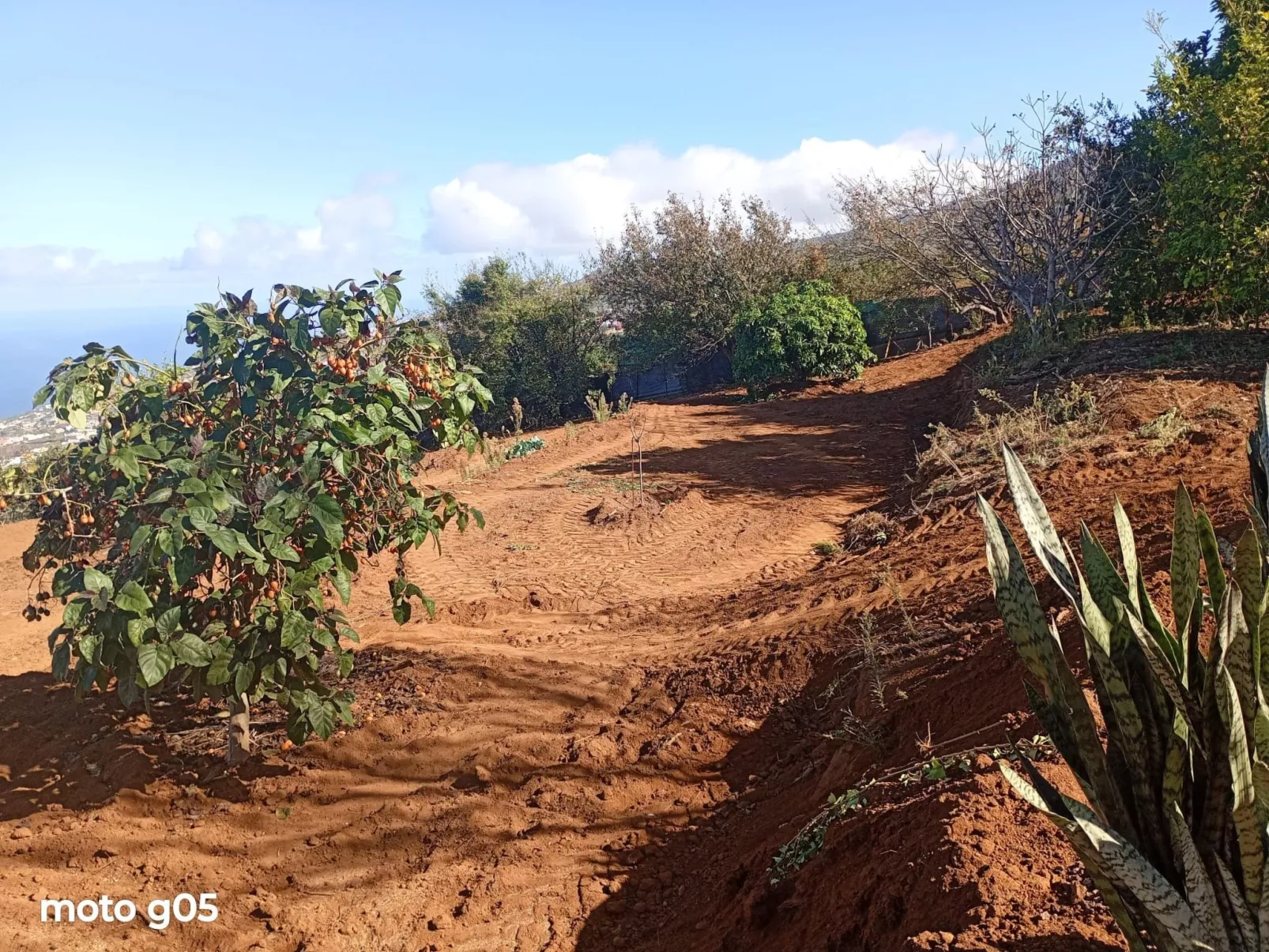 "El pajal House Relax"-Inside