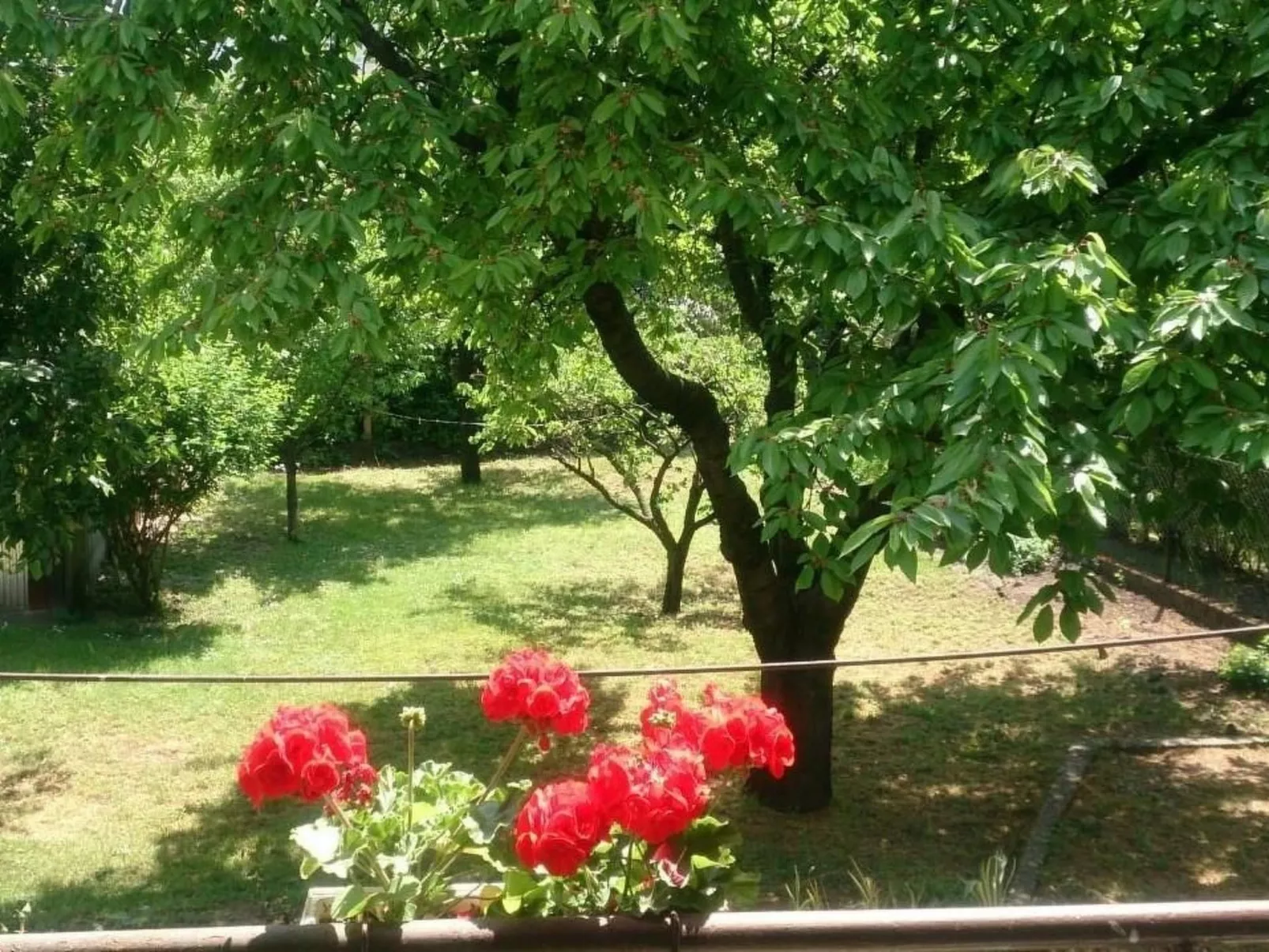 Haus in Budapest-Inside