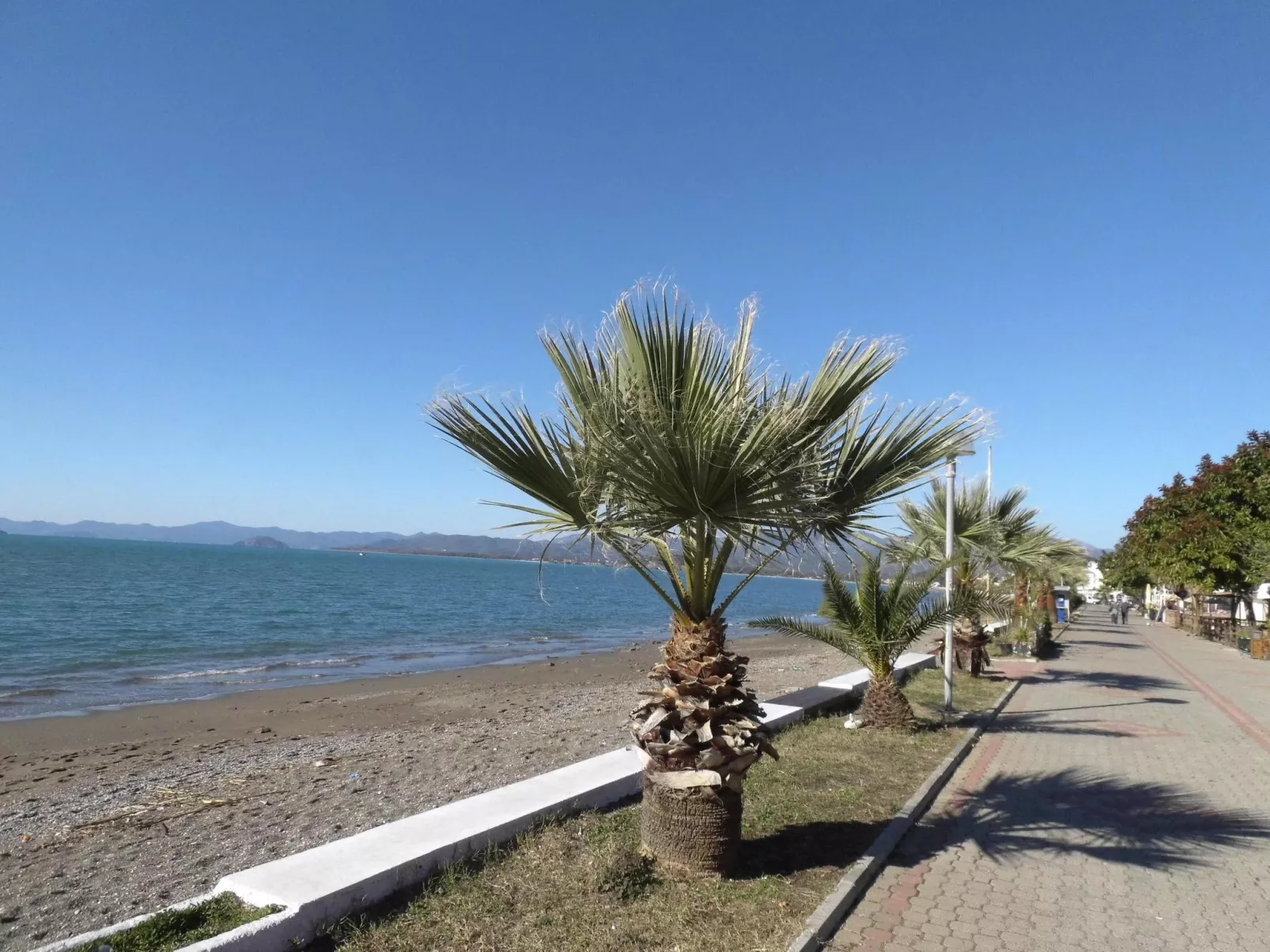 Strandnahe Ferienwohnung über zwei Etagen-Dedans
