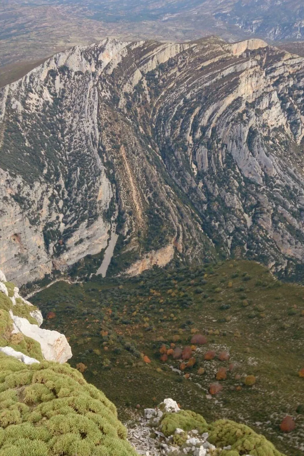 Javier Haus-Image-tags.info