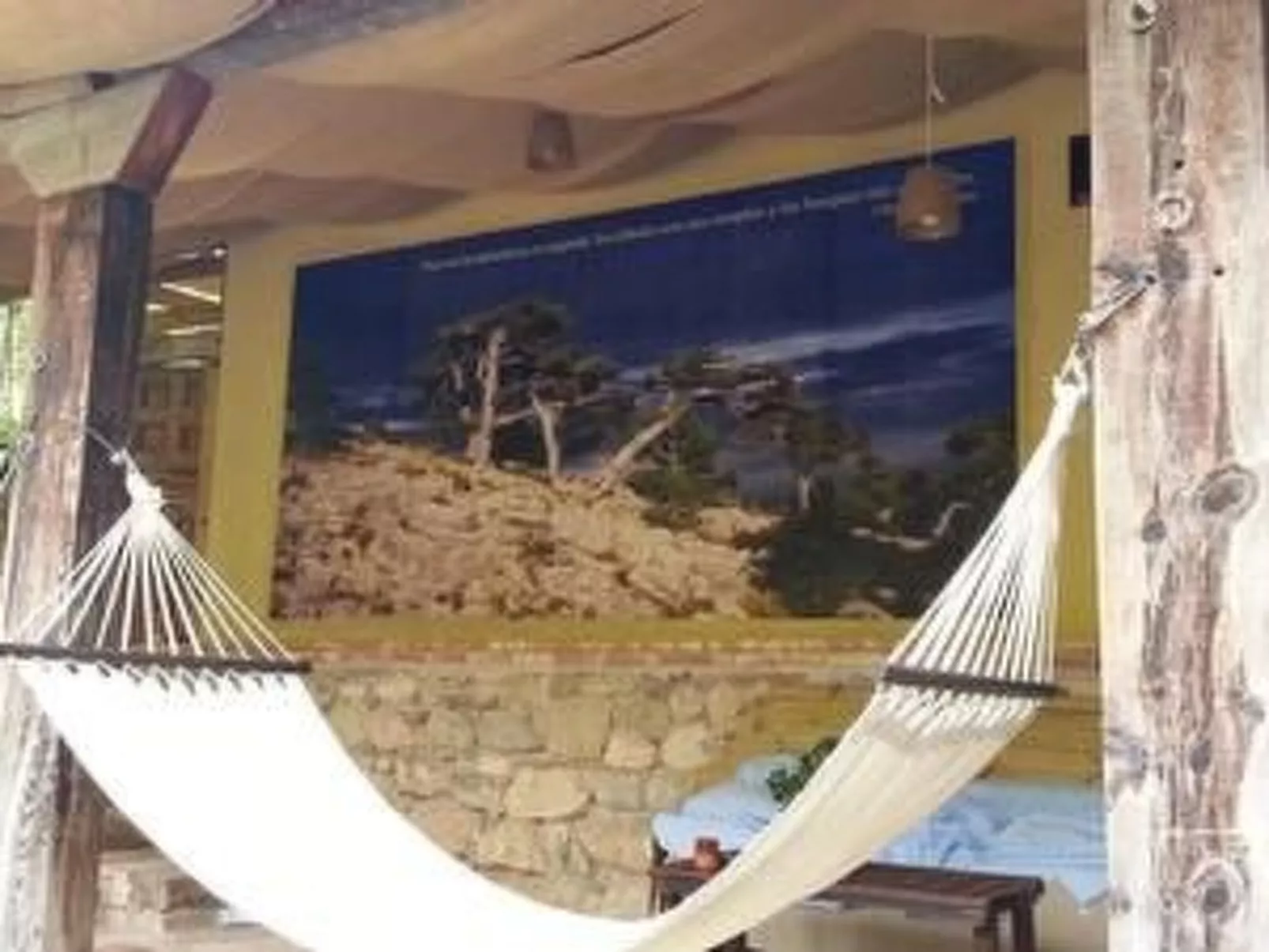 La Casita-Image-tags.info