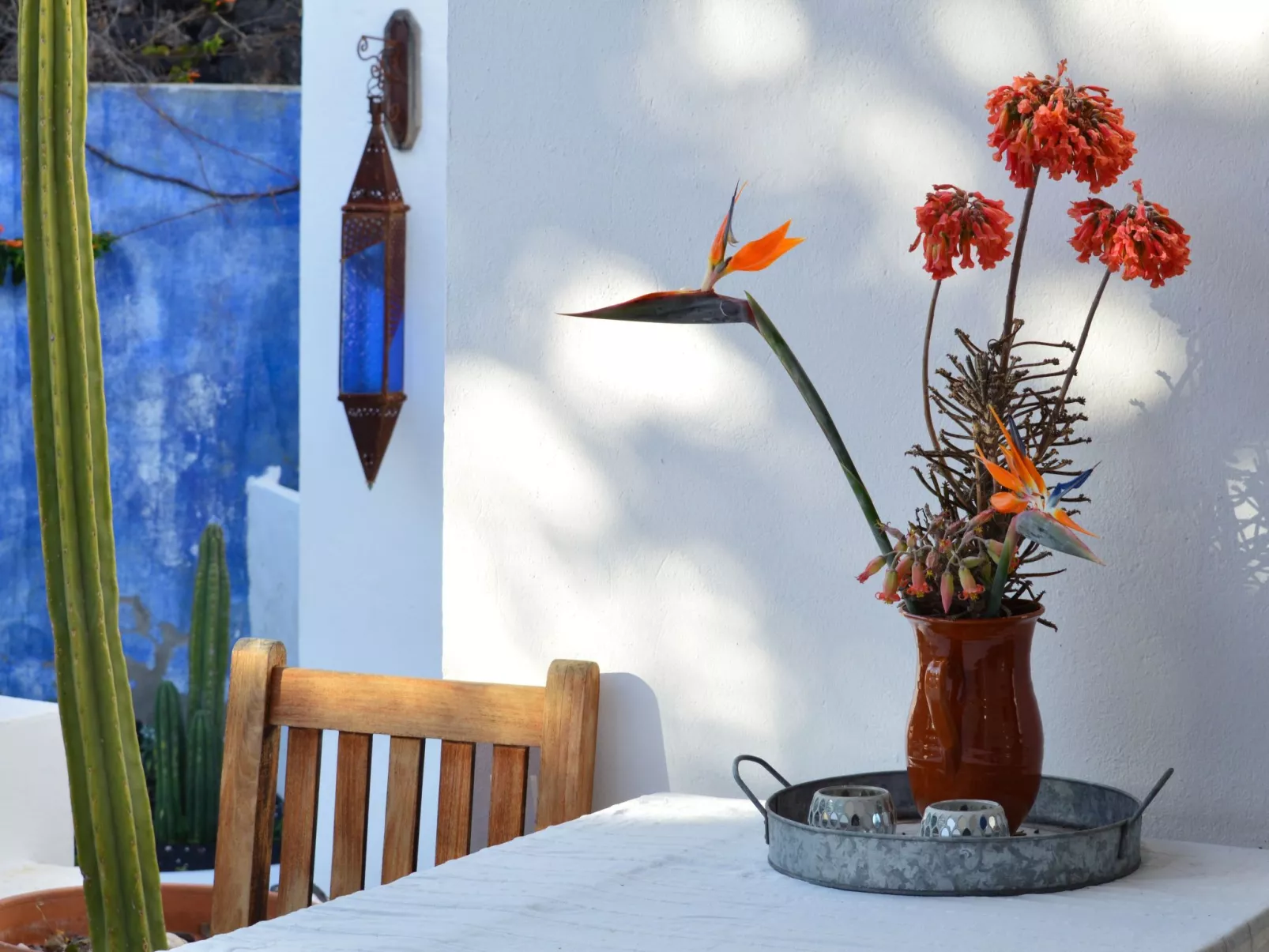 Appartement Casa Hibisco mit schönem Garten-Inside