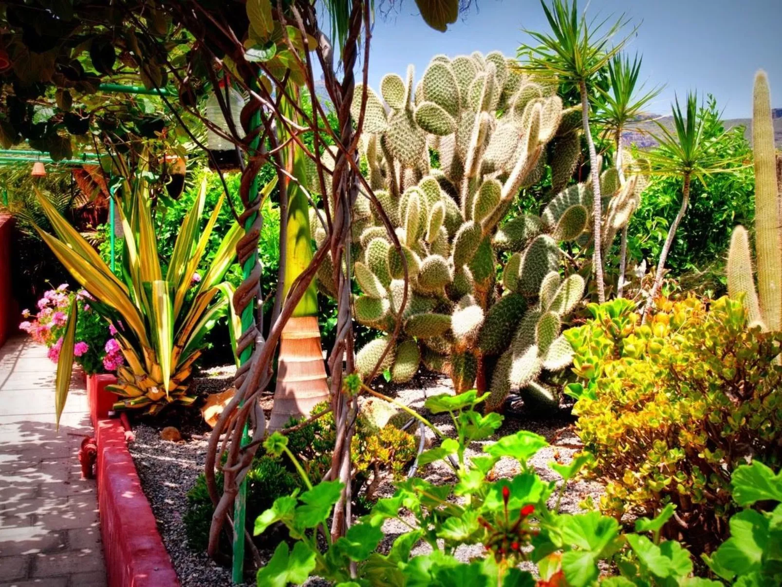 Finca mit Garten, Grill und Terrasse-Outside