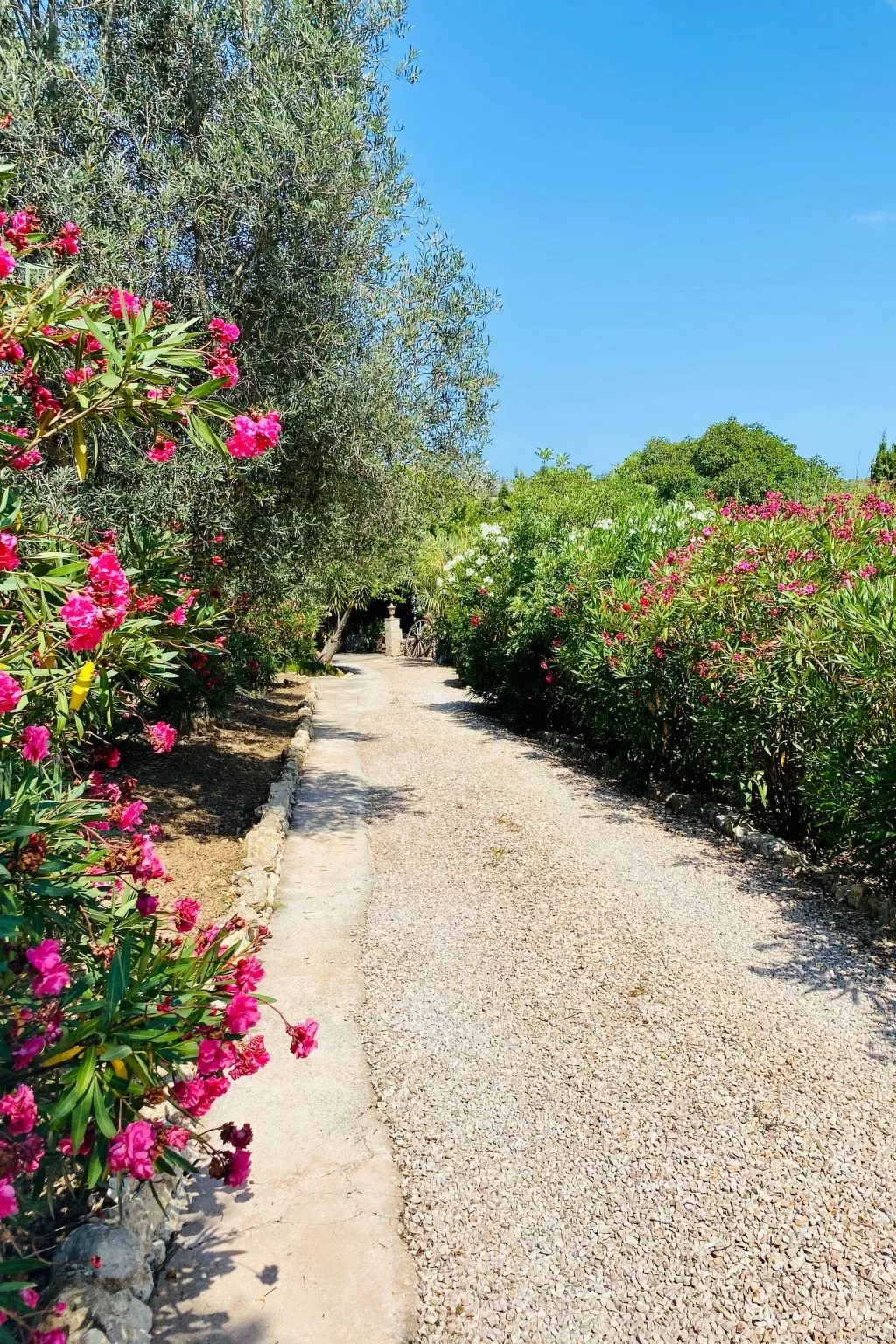 Adults Only Finca - Apartment zum entspannen-Outside