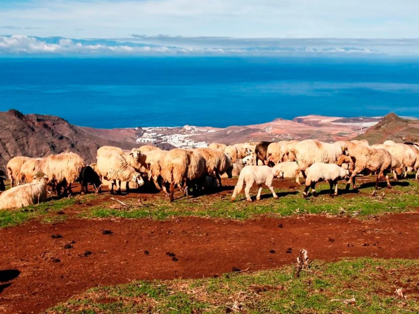 Landhaus "La Cabaña" mit Privatparkplatz-Inside