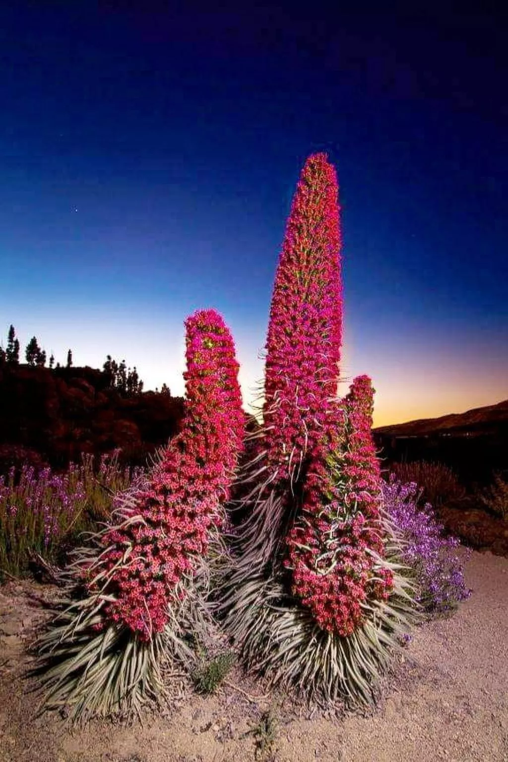 Luxuriöser Rückzugsort mit direktem Meerzugang und Pool-Dedans