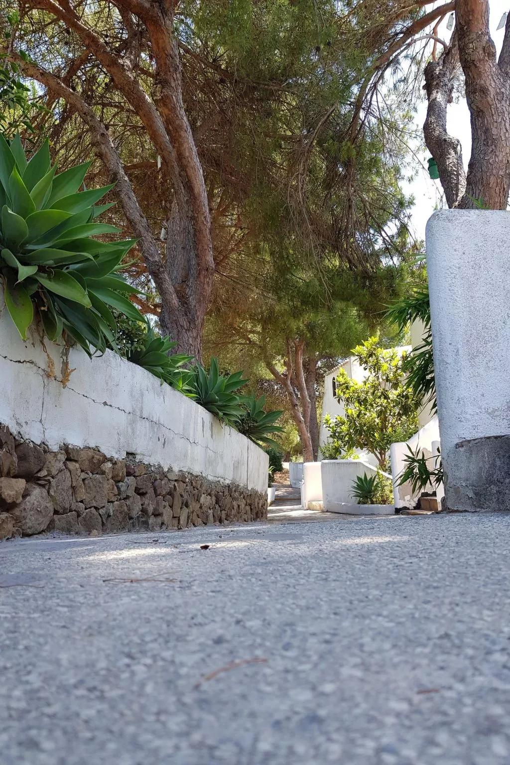 Der Ort des Lichts-Dedans