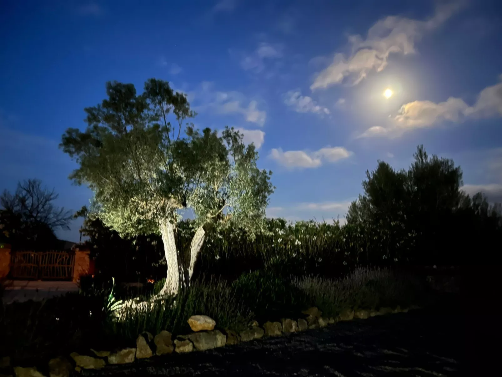 Finca Can Llop-Draußen