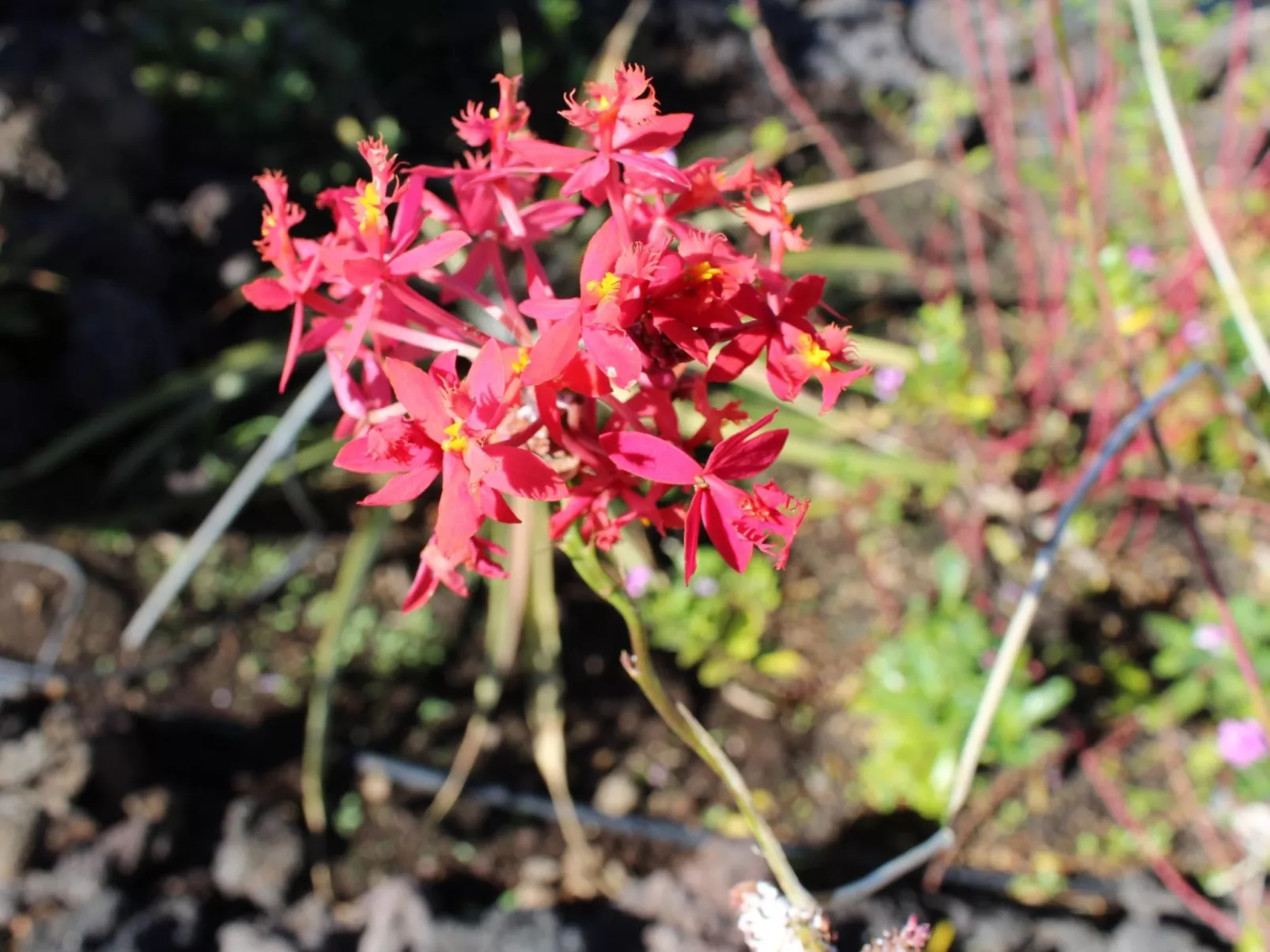 Haus La Majada-Inside