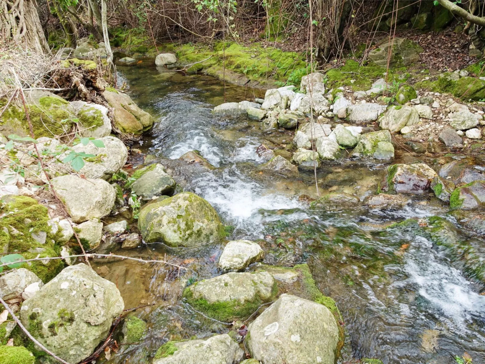 Gemütliches Landhaus Betania in Grazalema-Inside