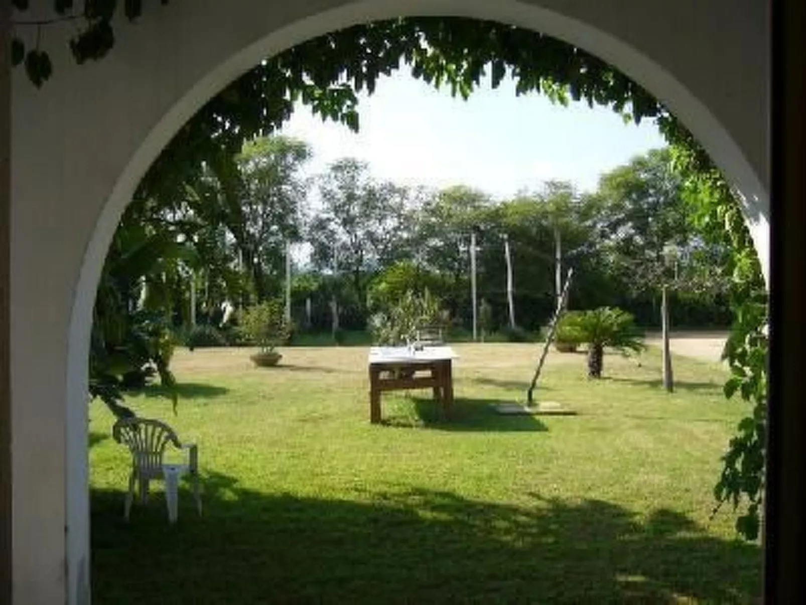 Cuore di Palme Bilo-Outside