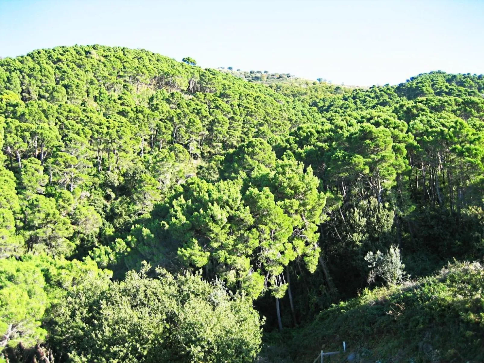 Schöne Ferienwohnug-Image-tags.info