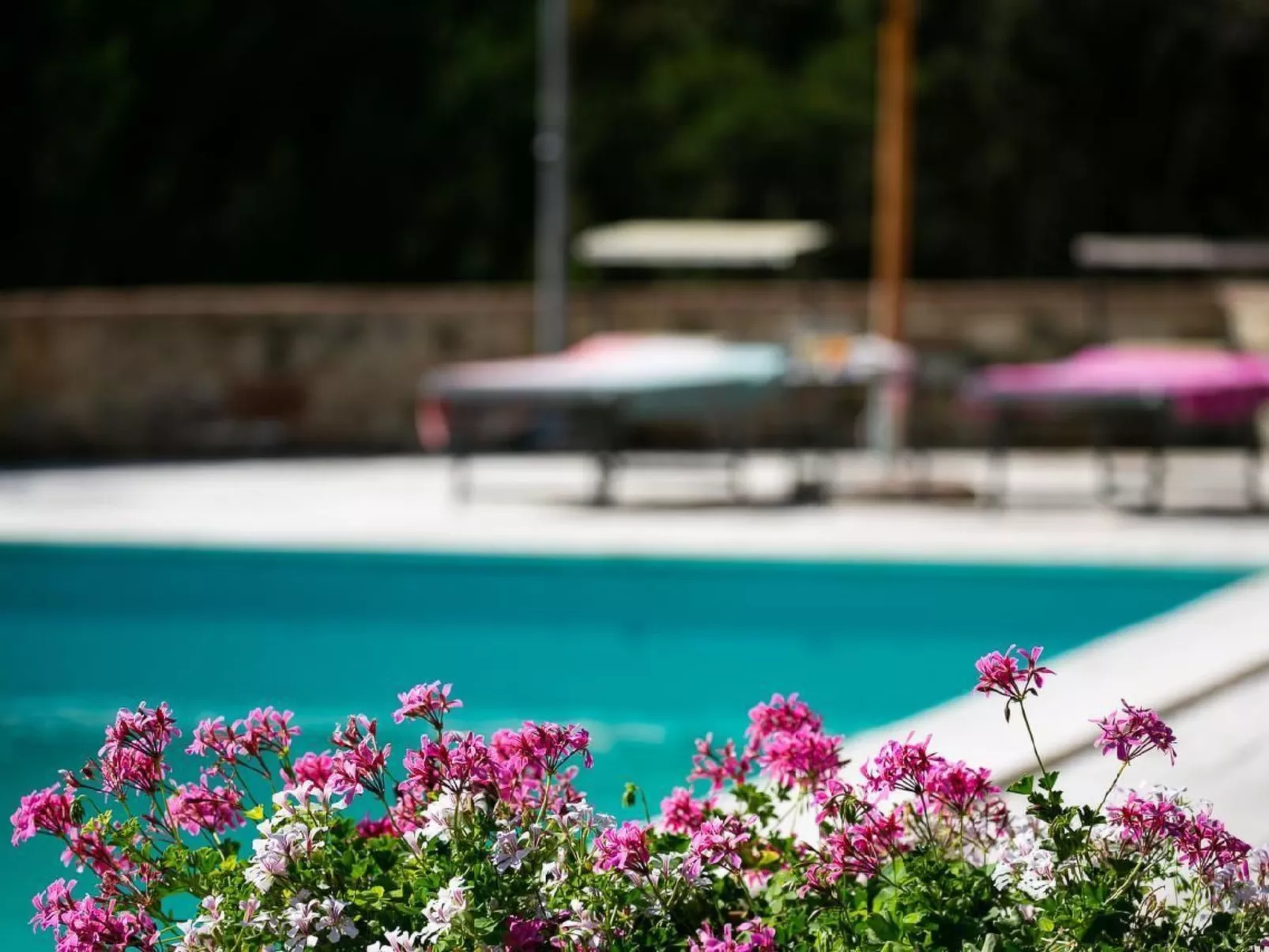 Villetta Armaiolo-Inside