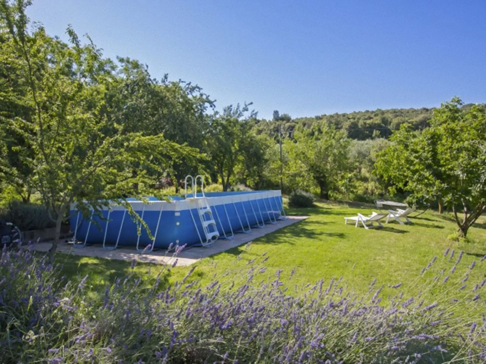 Suite mit Gartenblick-Inside