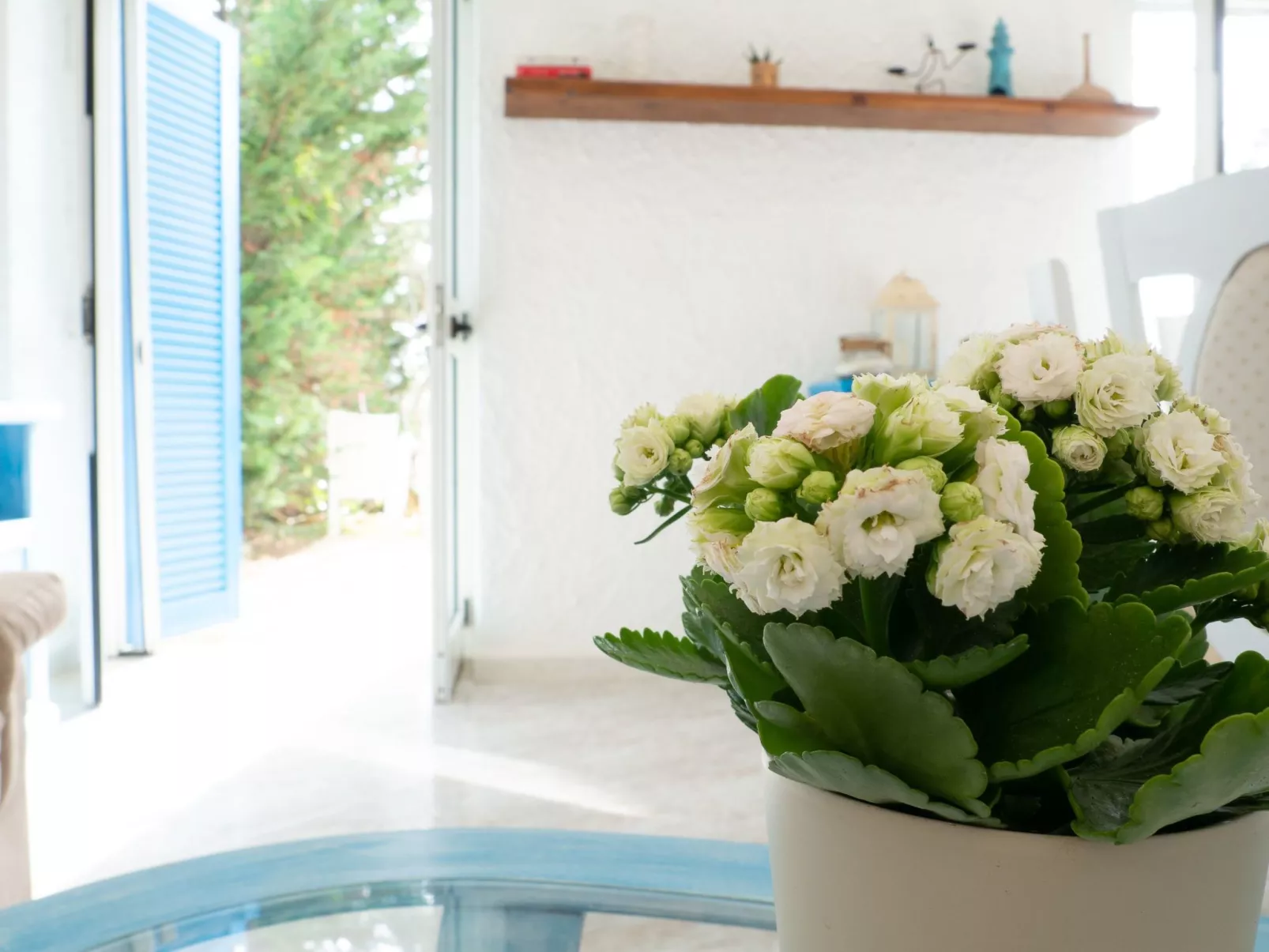 Villa Saline- Villa am Meer-Image-tags.info