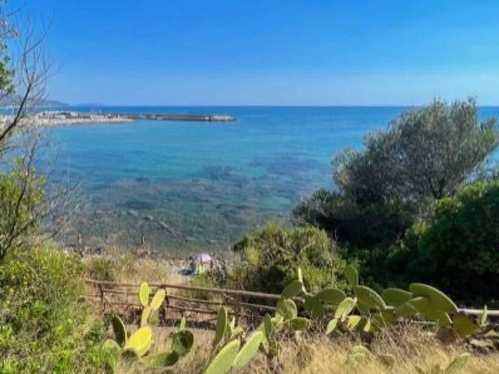 Dominella 3 - Apartment in Casal Velino für bis zu 3 Personen mit Terrasse-Image-tags.info