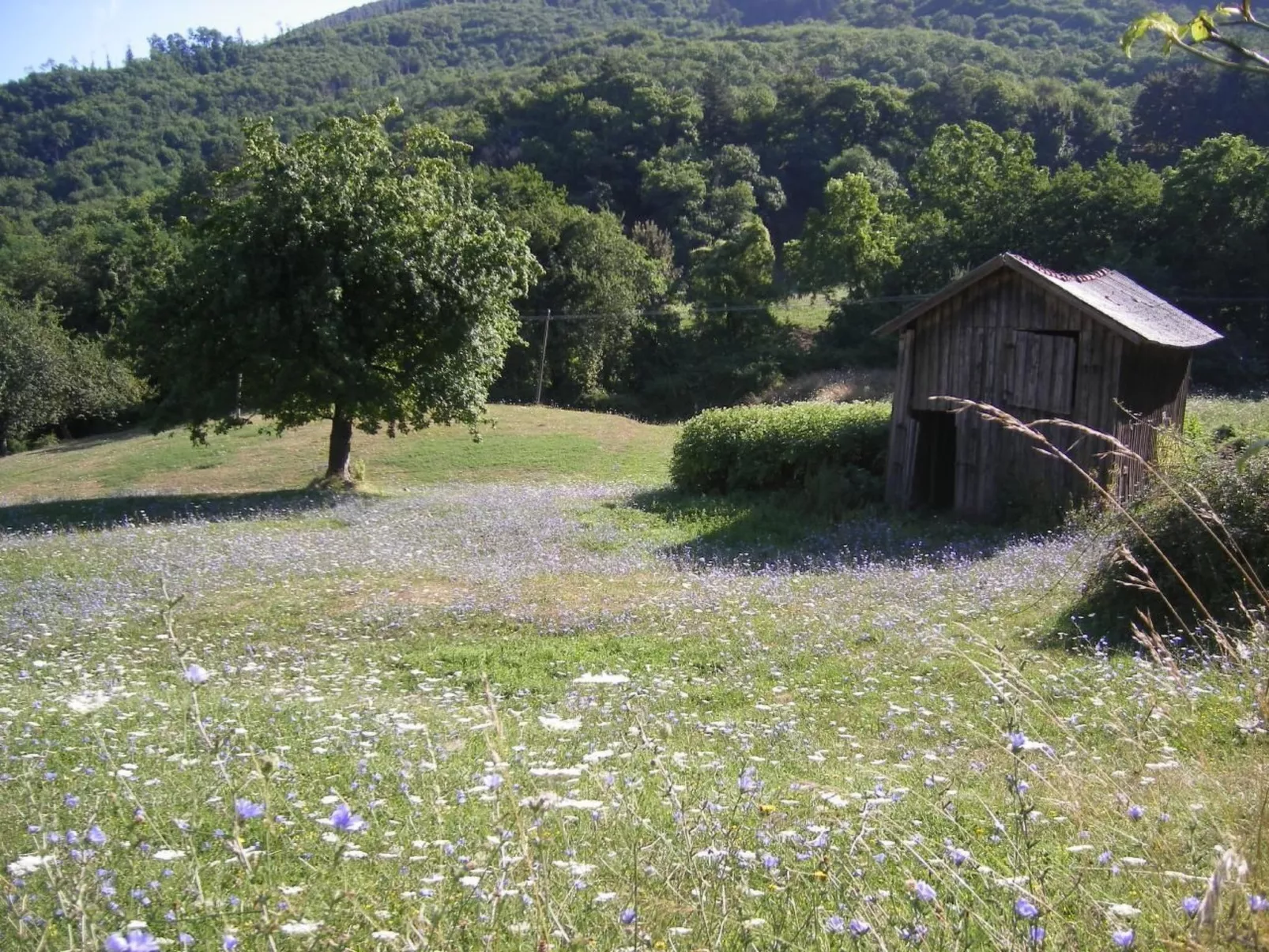 CasaMasa' Wohnung mit Bergblick-Outside