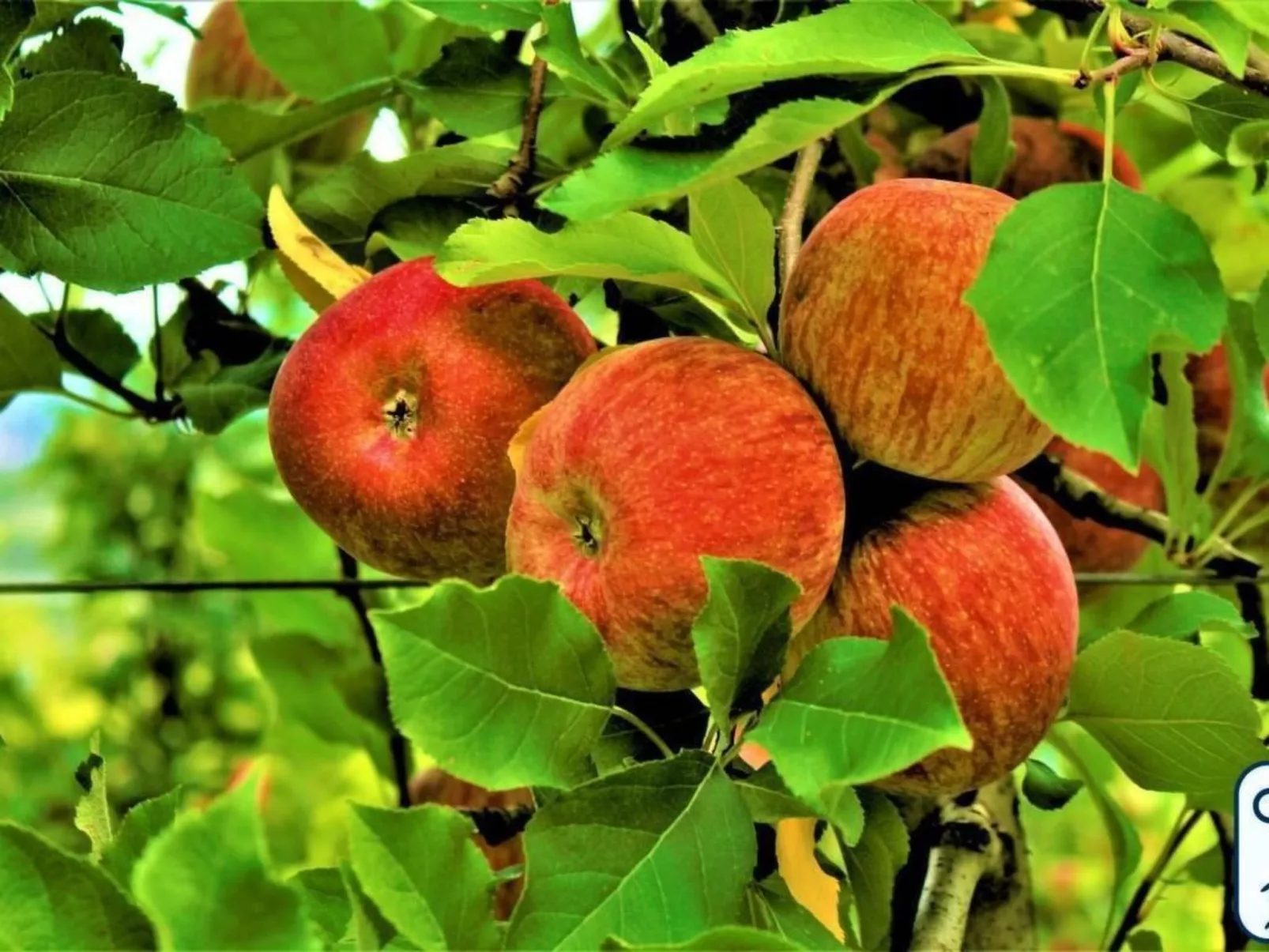 'Antico Eremo'-Inside