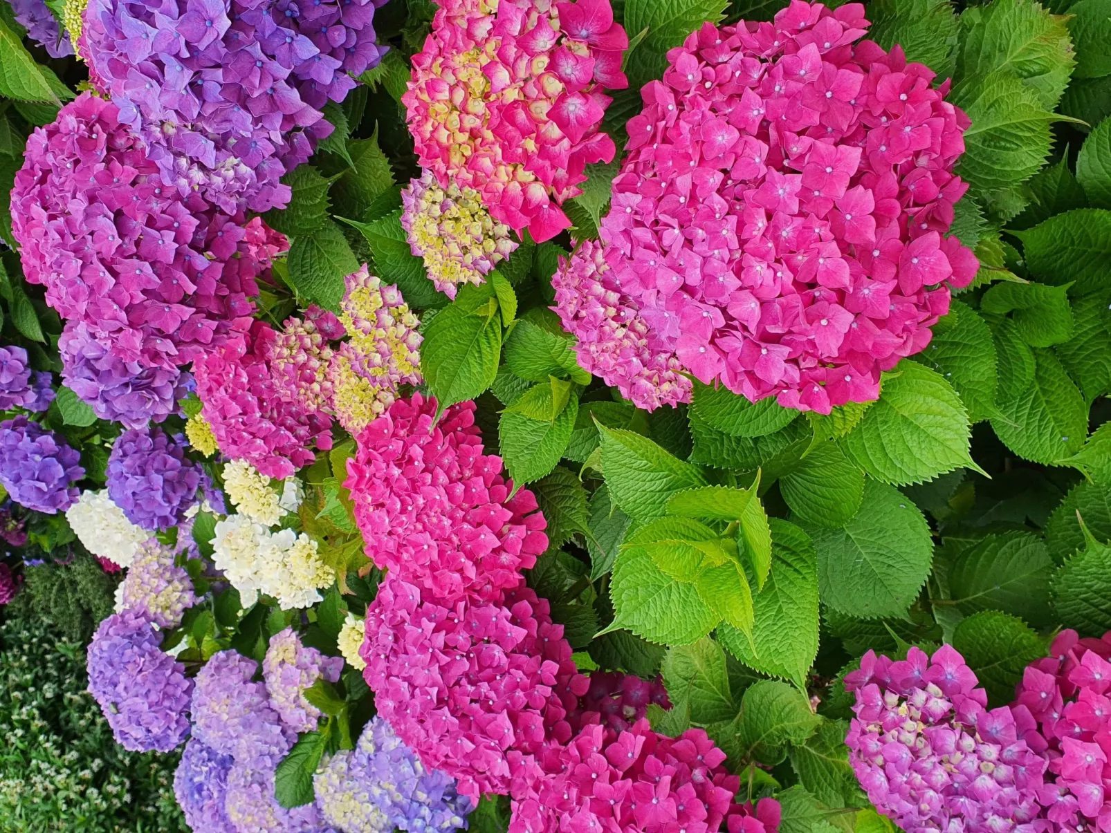 Wohnung mit Privatparkplatz und schöner Aussicht-Dehors