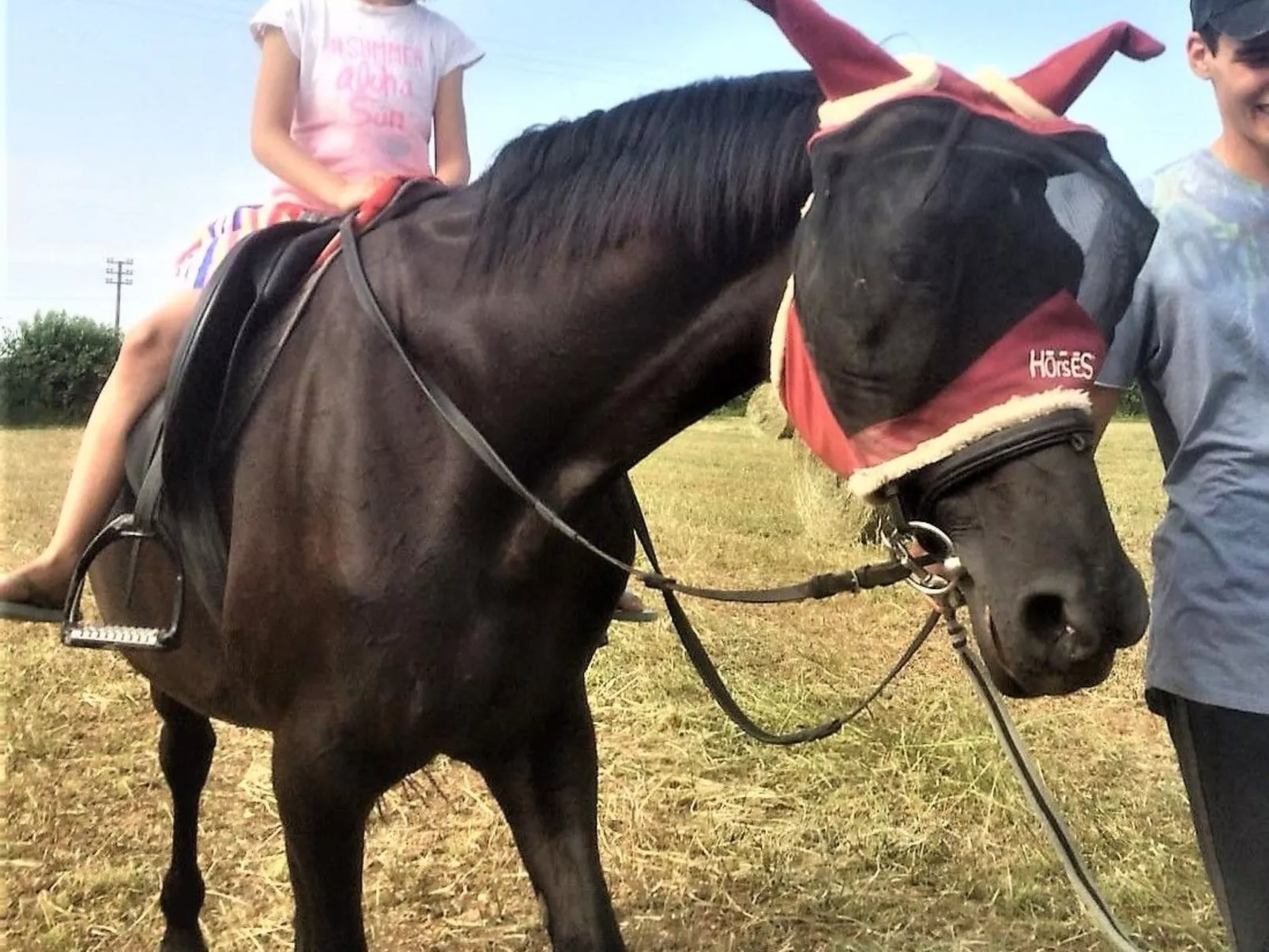 Das Landgut "Corte Canale Virgilio" mit Balkon-Image-tags.info