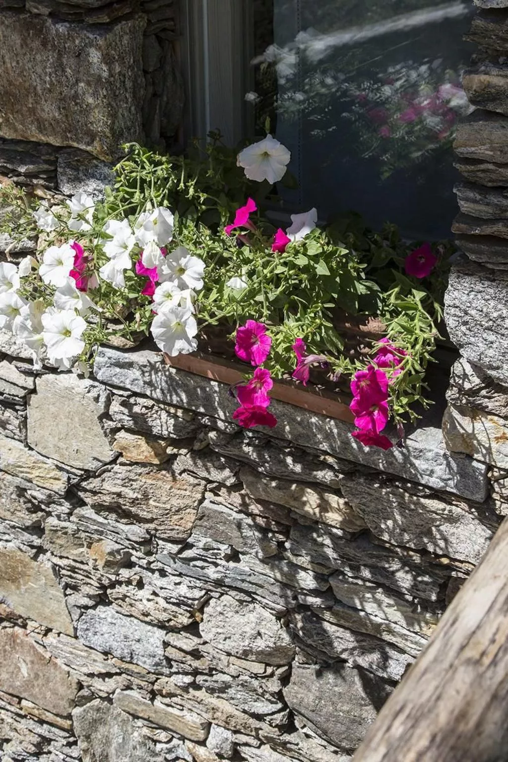 Lampone in San Bernardino Verbano-Draußen