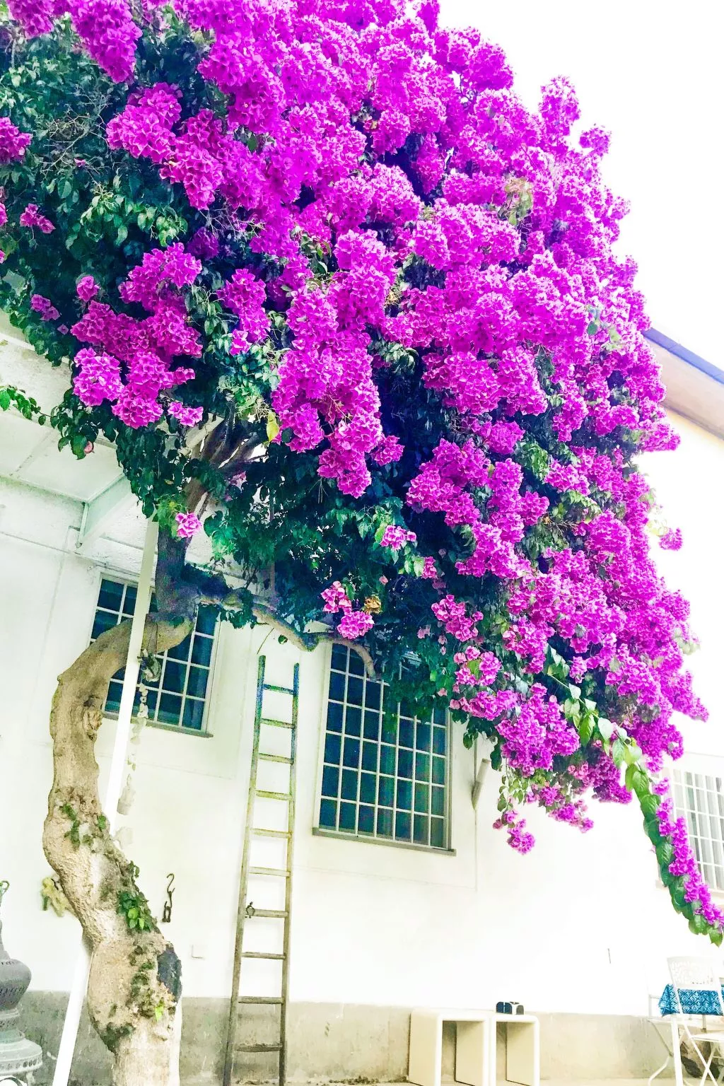 Rom Palocco - Wohnung mit Garten-Dehors