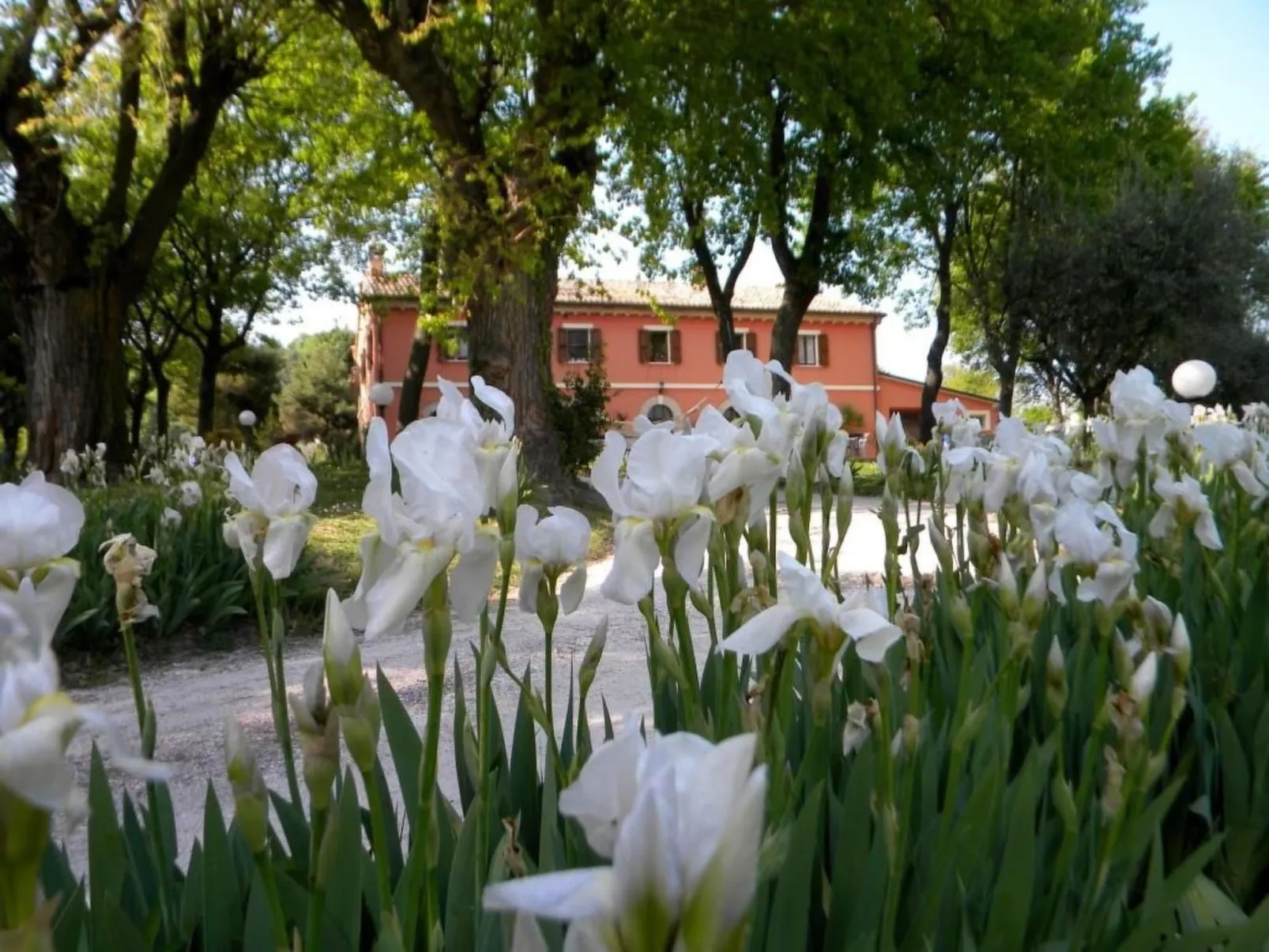 In der Gegend zwischen Meer und Berghang-Draußen