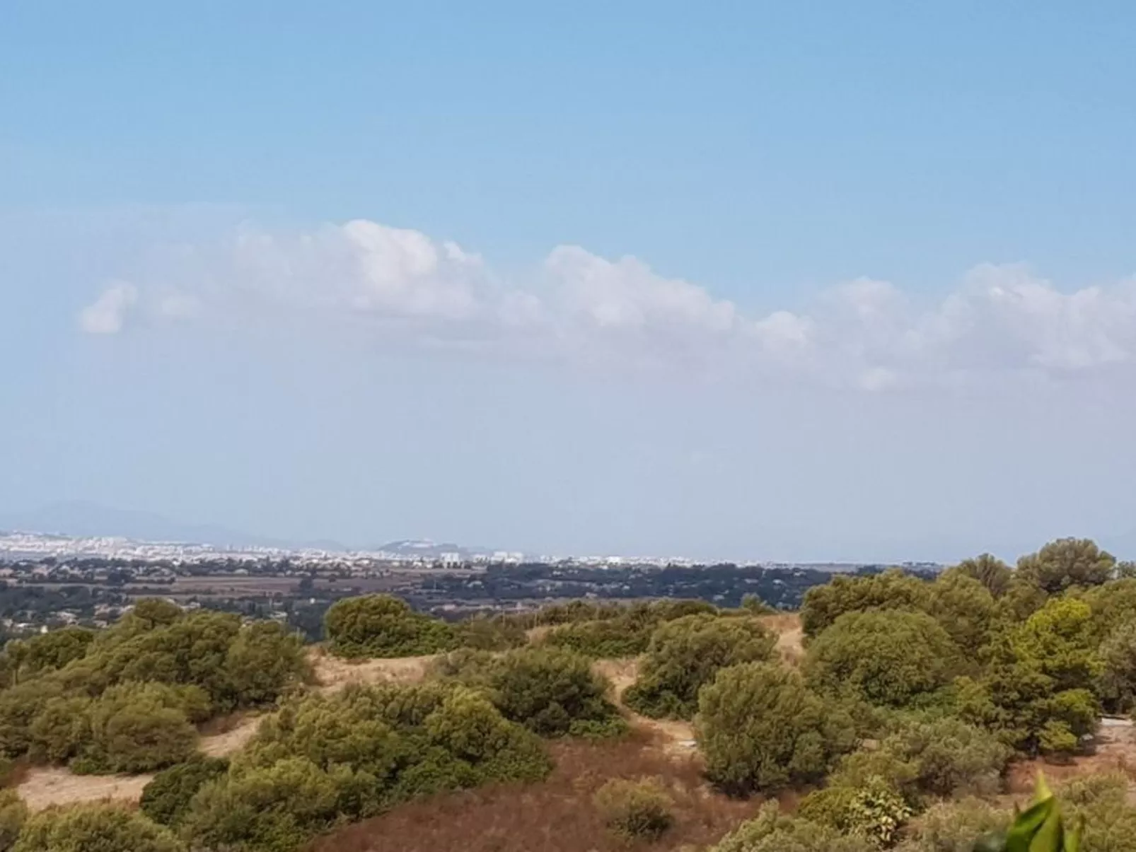 Su Niu Crobu-Draußen