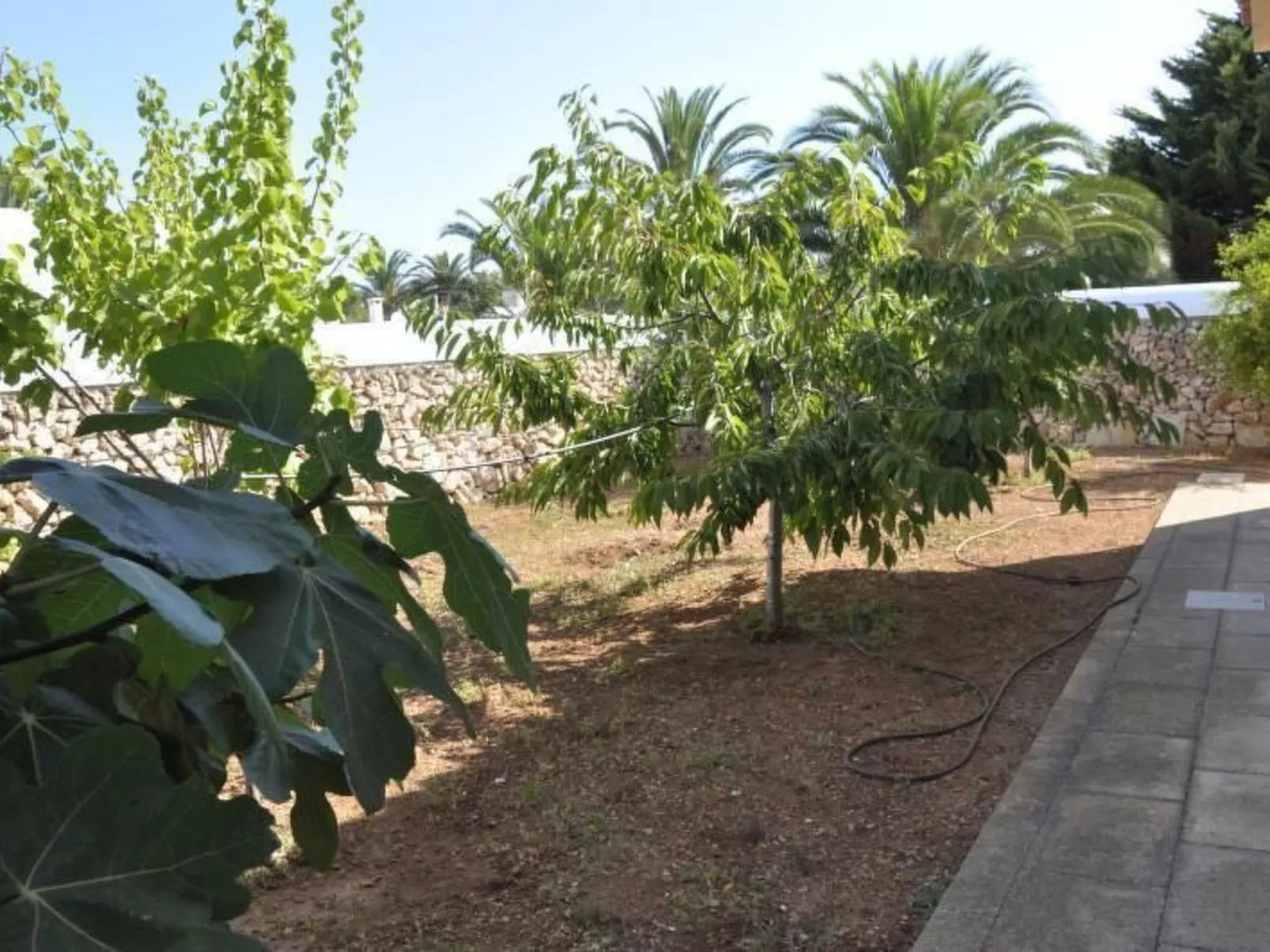 Ferienvilla "Francisca-Outside