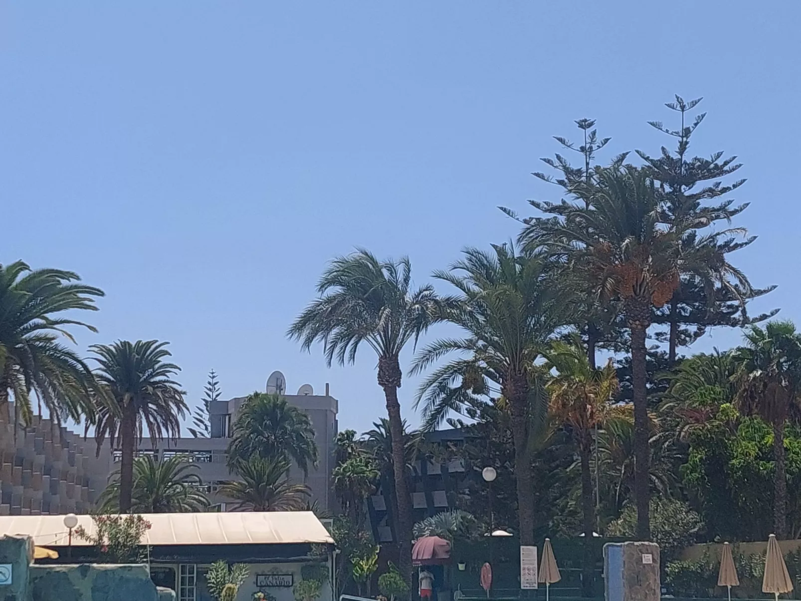 Wohnung "Agaete Parque"-Dedans