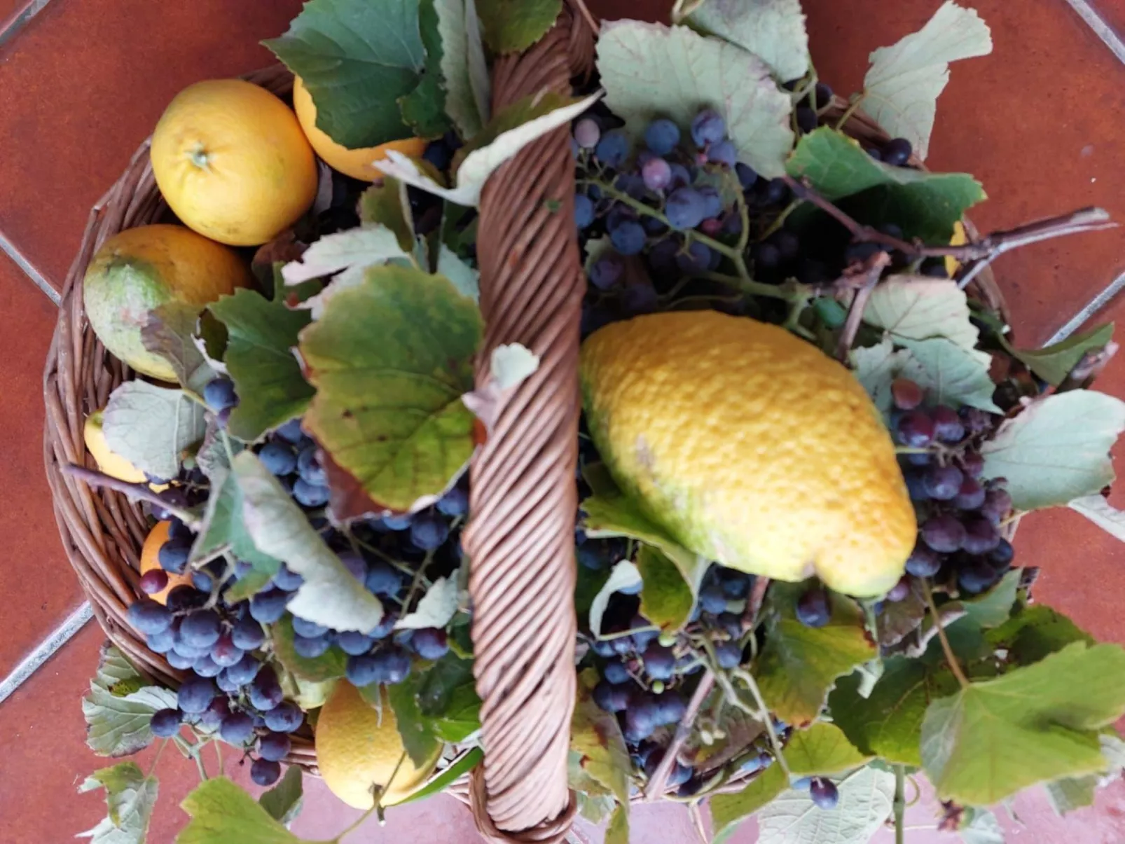 Entspannung, Meer, Natur, Kultur-Dedans